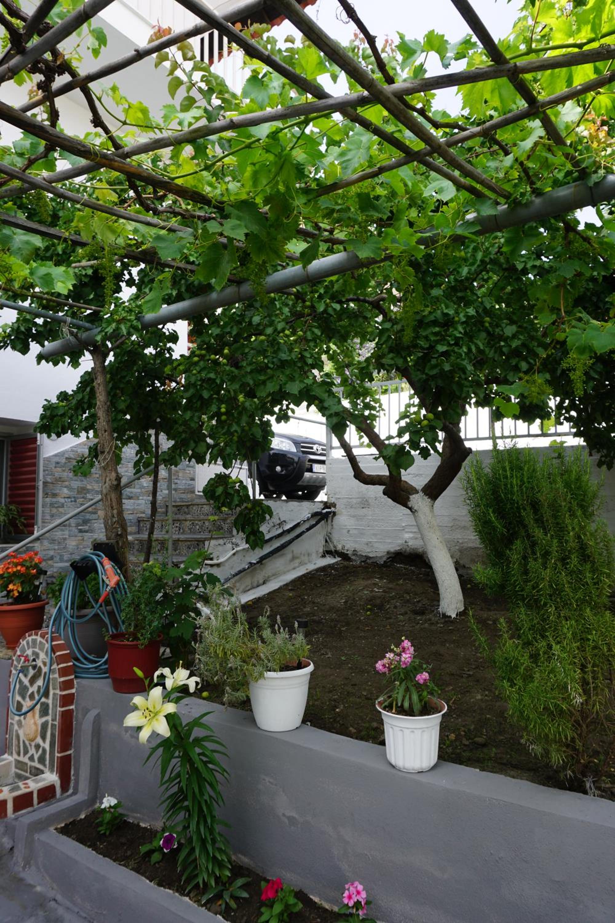 Photo 38
