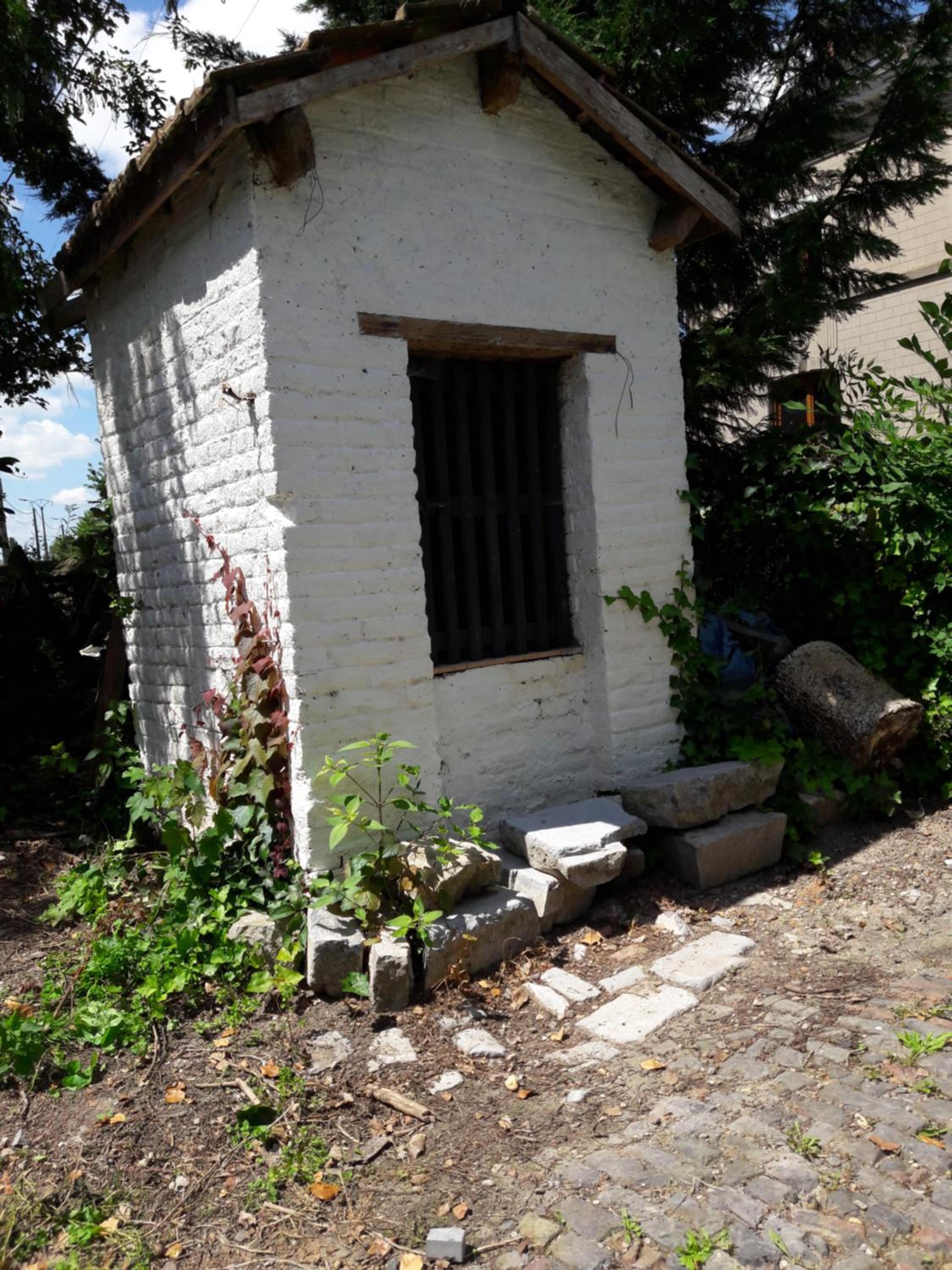 Photo 12