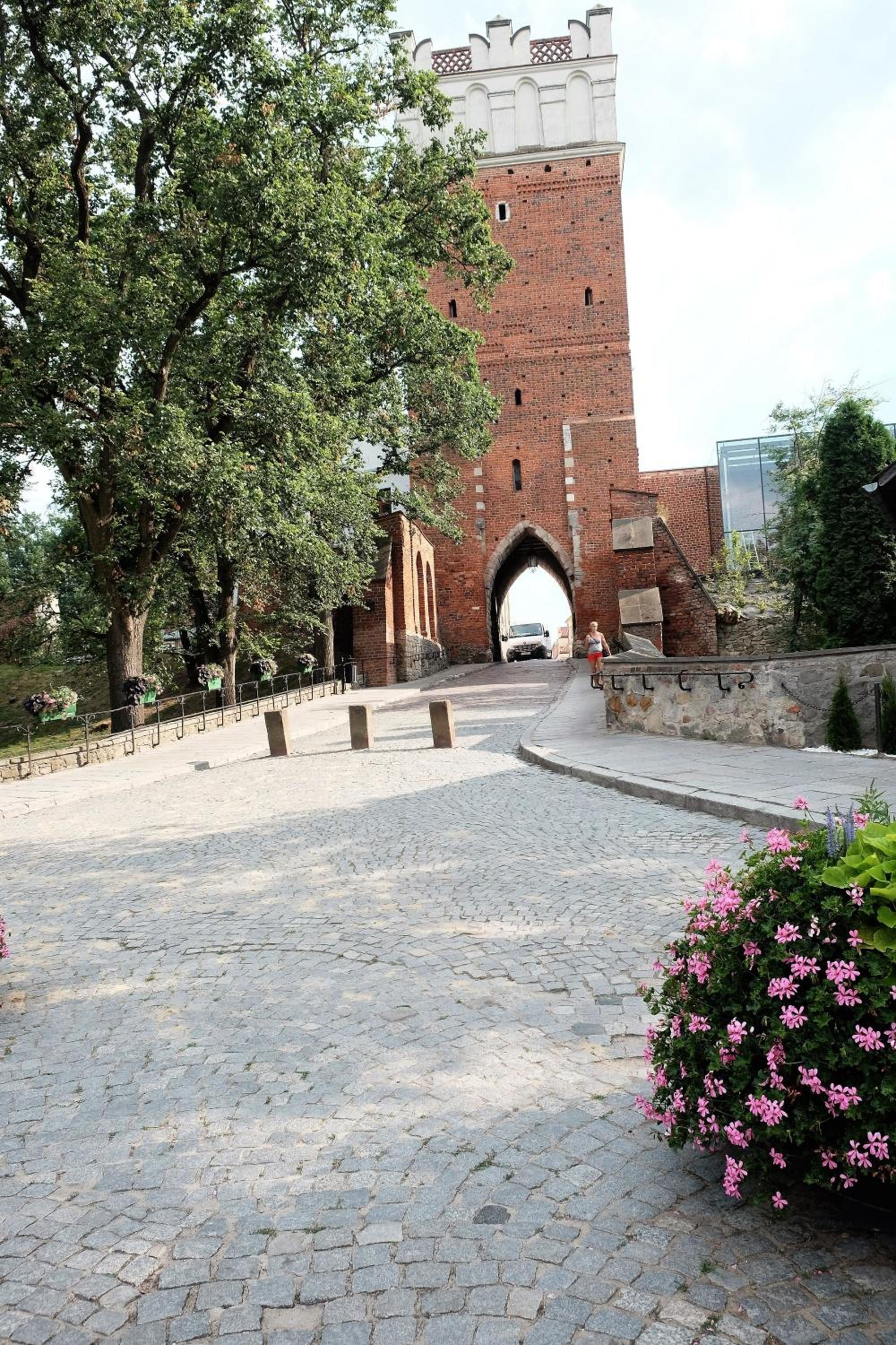 Photo 21