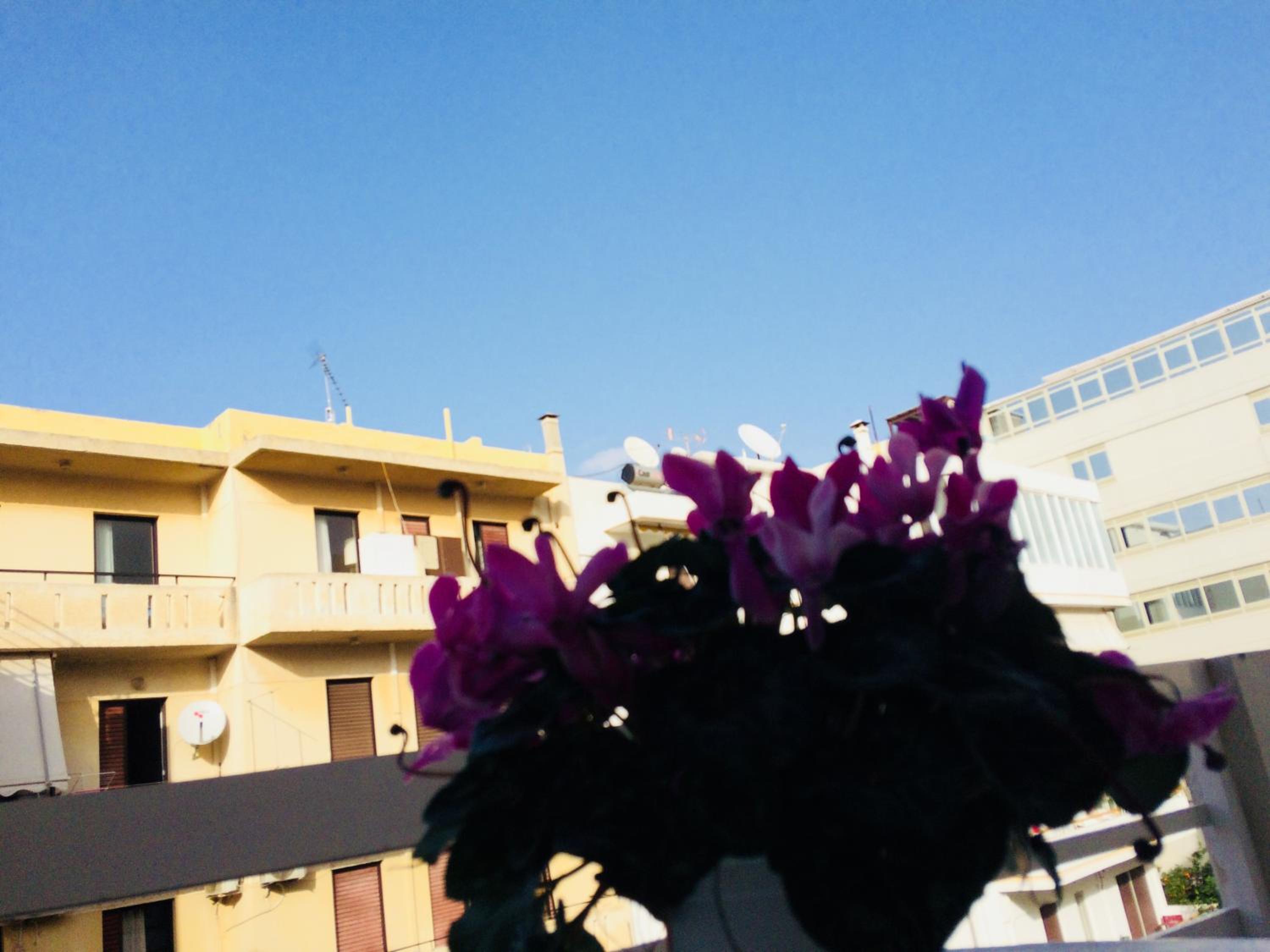 Photo 49