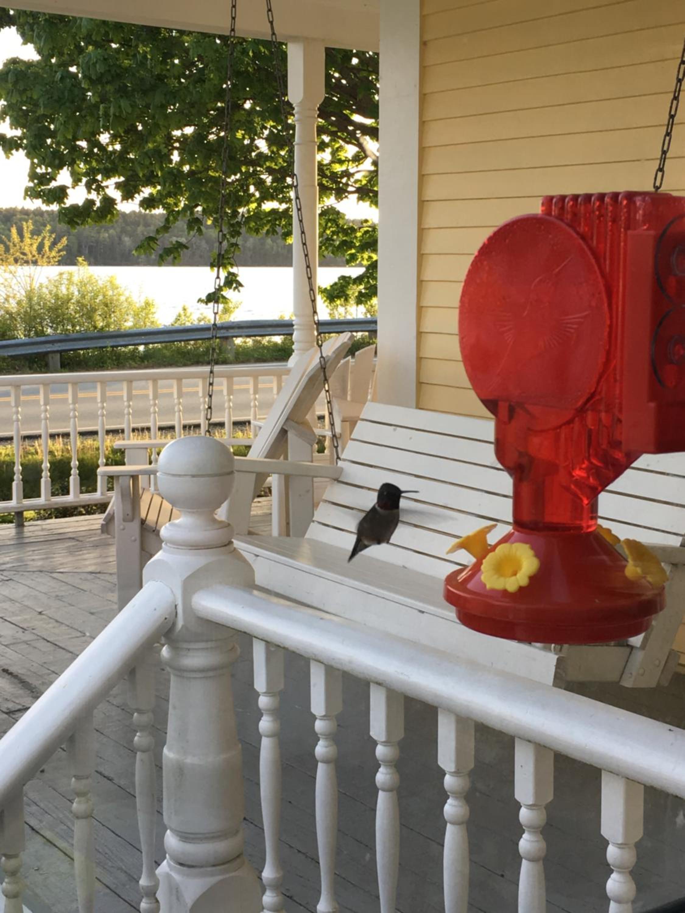 Toba's Bed & Breakfast