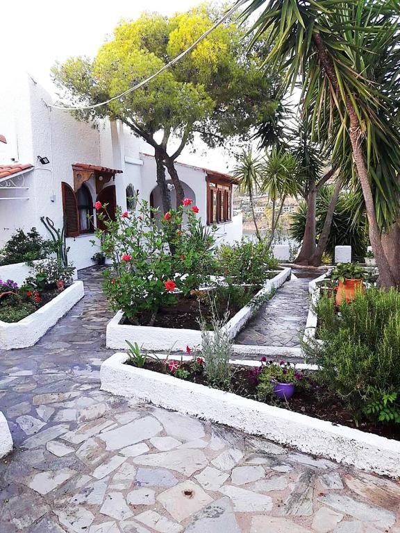 Apollonion Apartment Aegina view 3