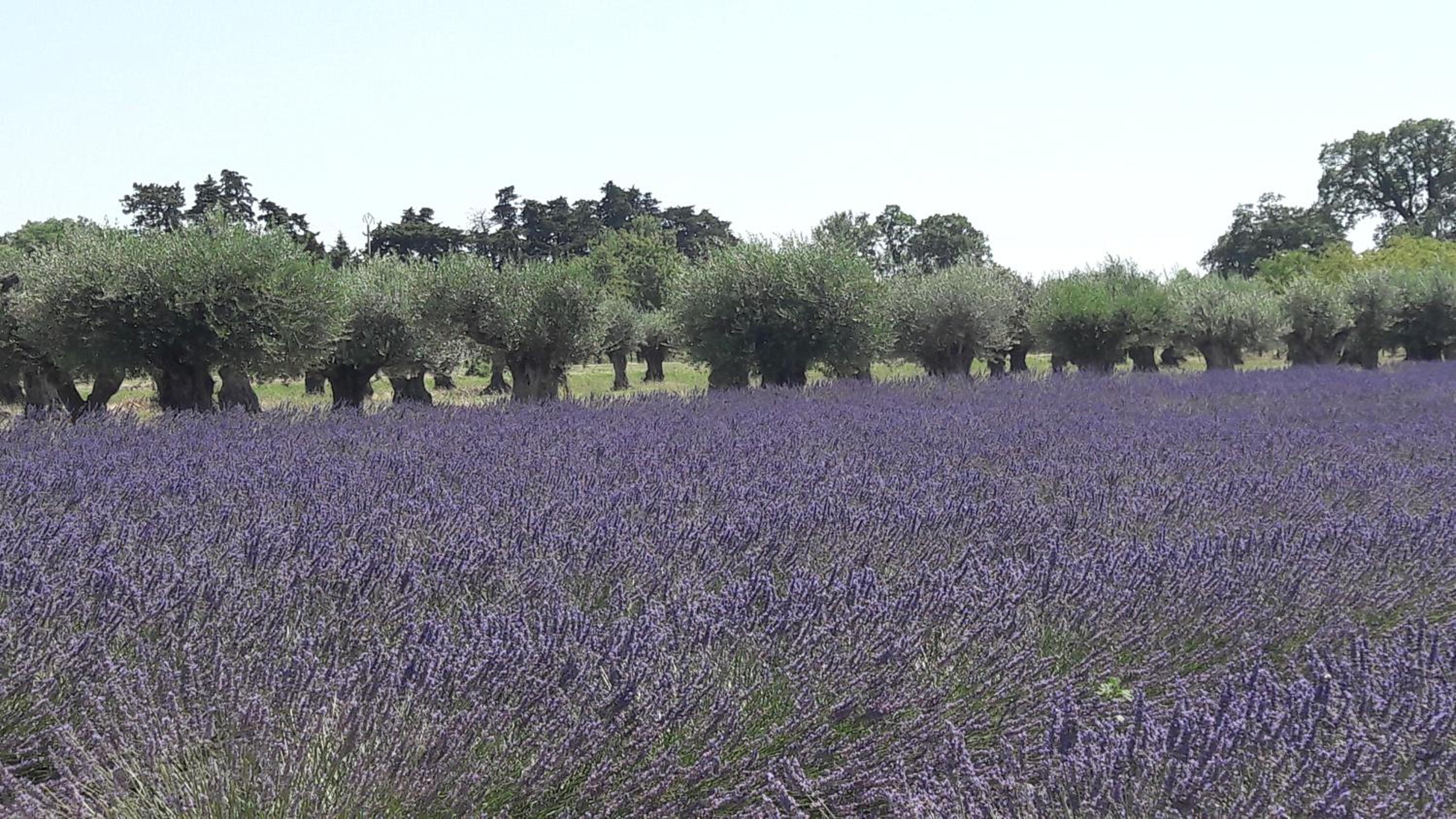 Le clos des vergers view 2