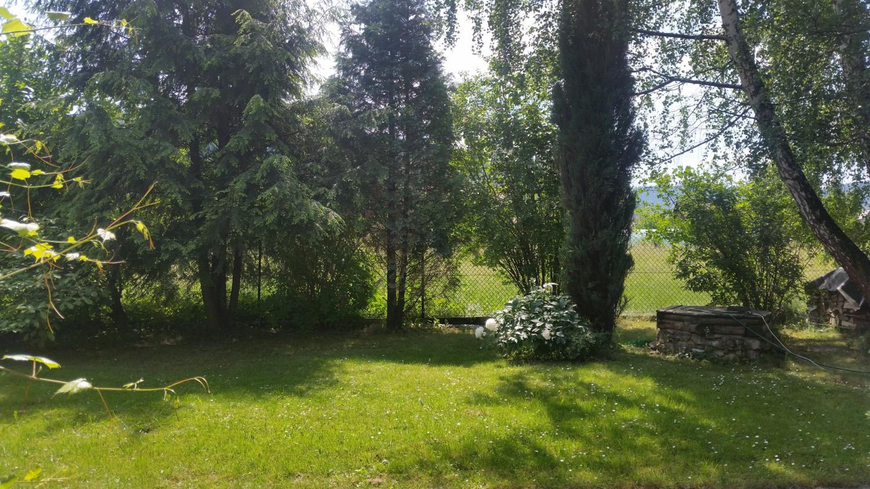 Świnna - Brzozowy Zagajnik view 3