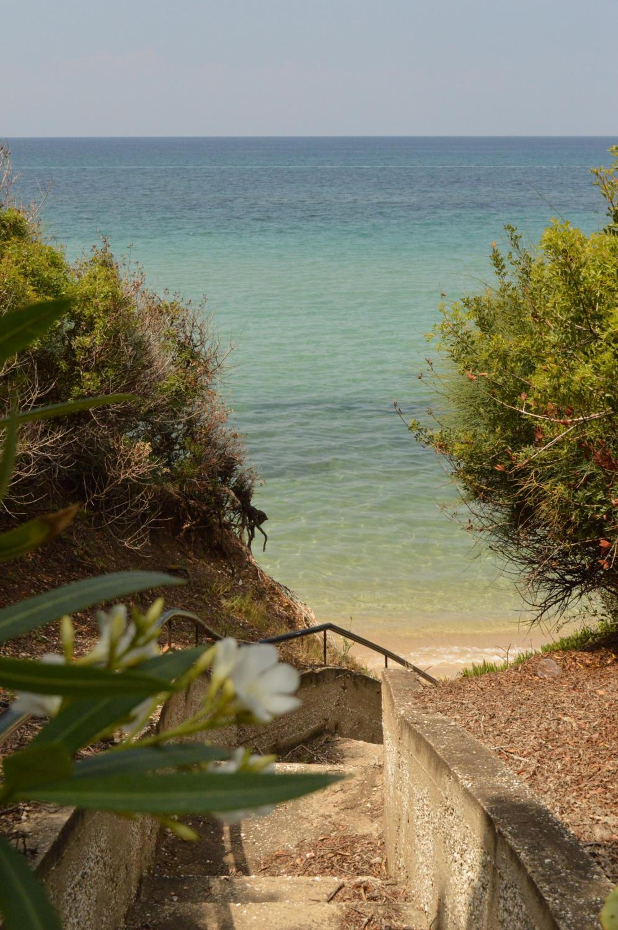 Beach House