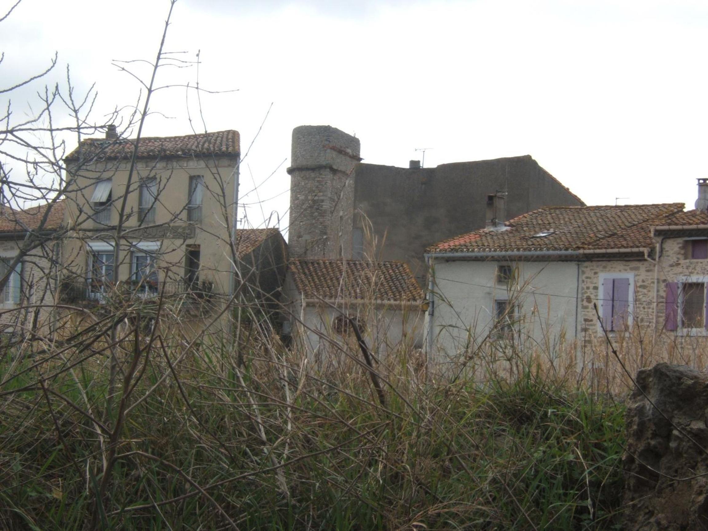 Photo 12
