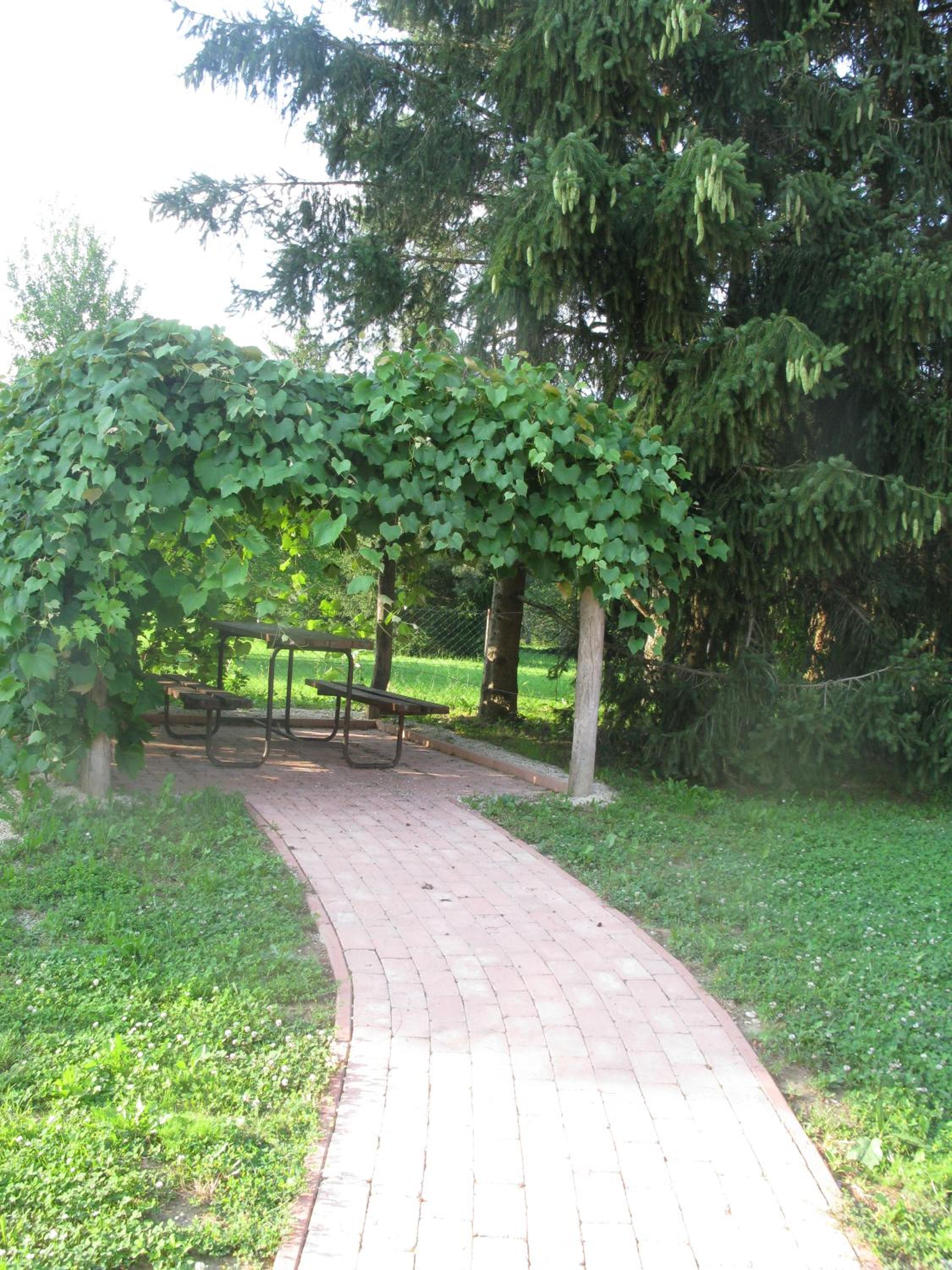 Fürge Róka Porta