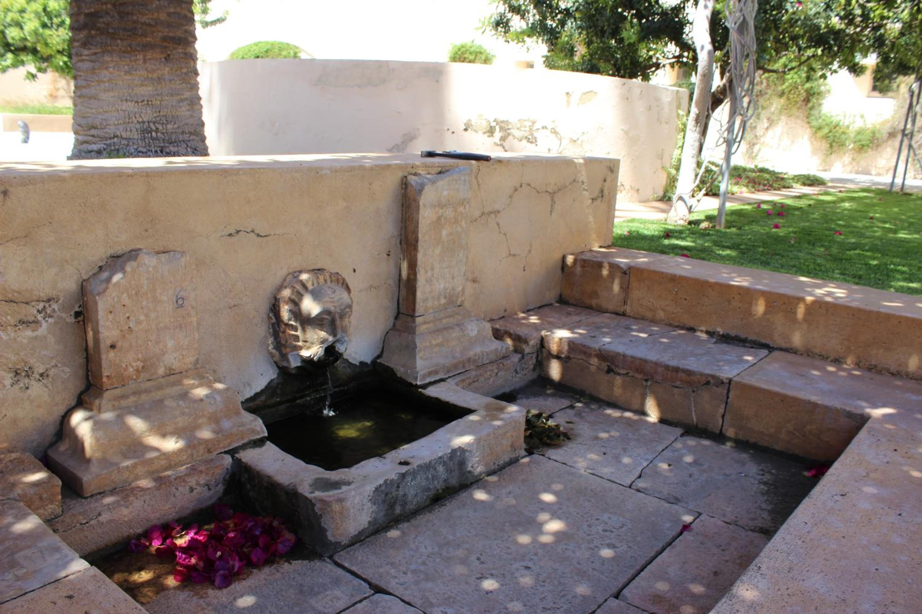 Photo 42