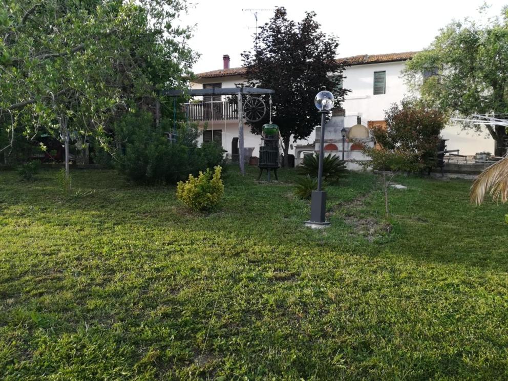 Photo 42