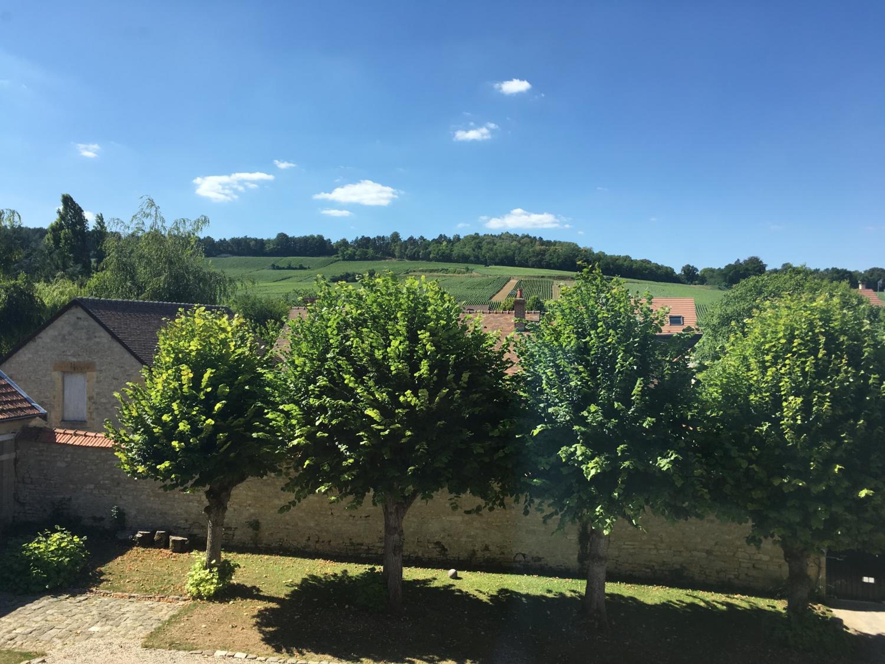 Le Château d'Hermonville B&B / Chambres d'hôtes