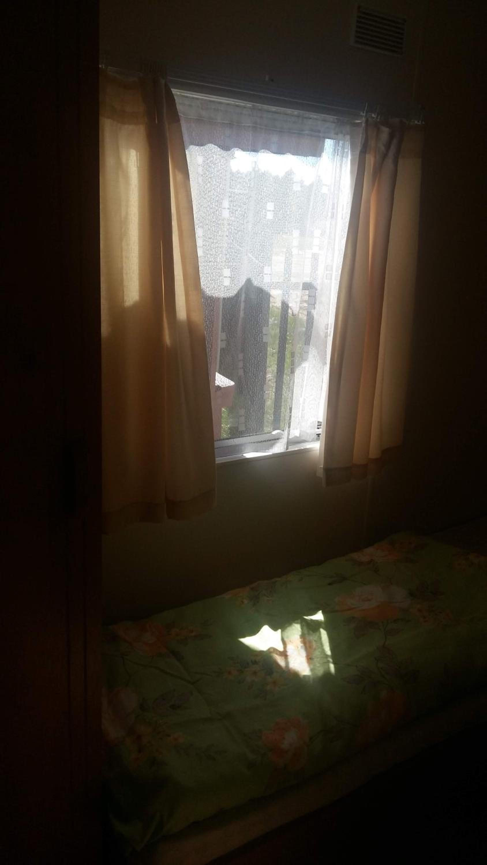 Photo 113