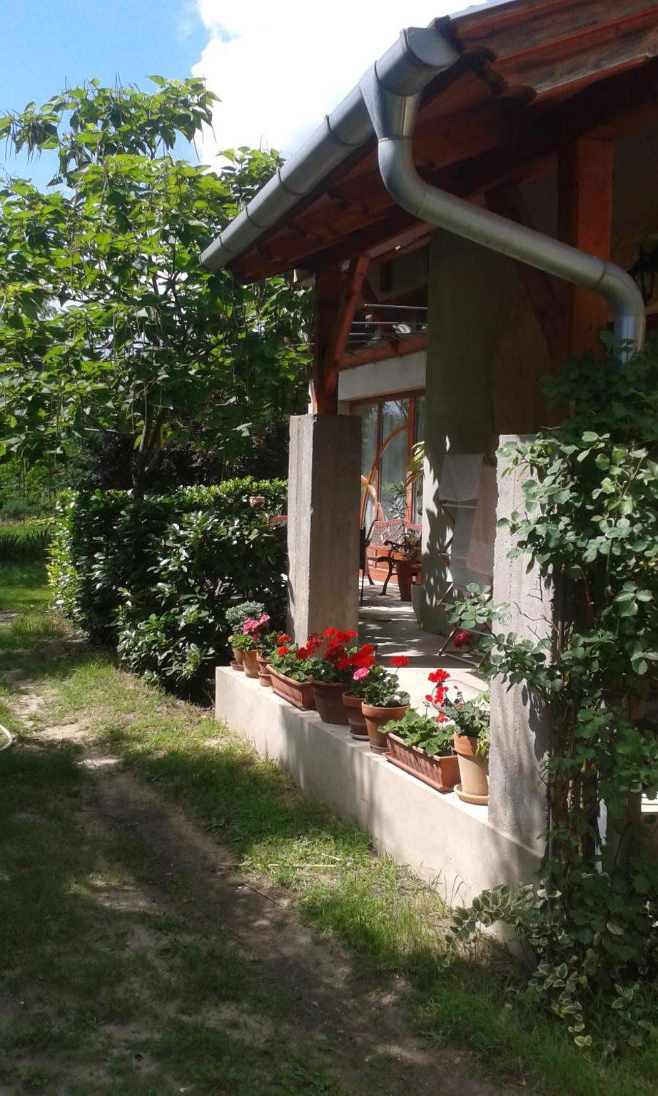 Photo 46