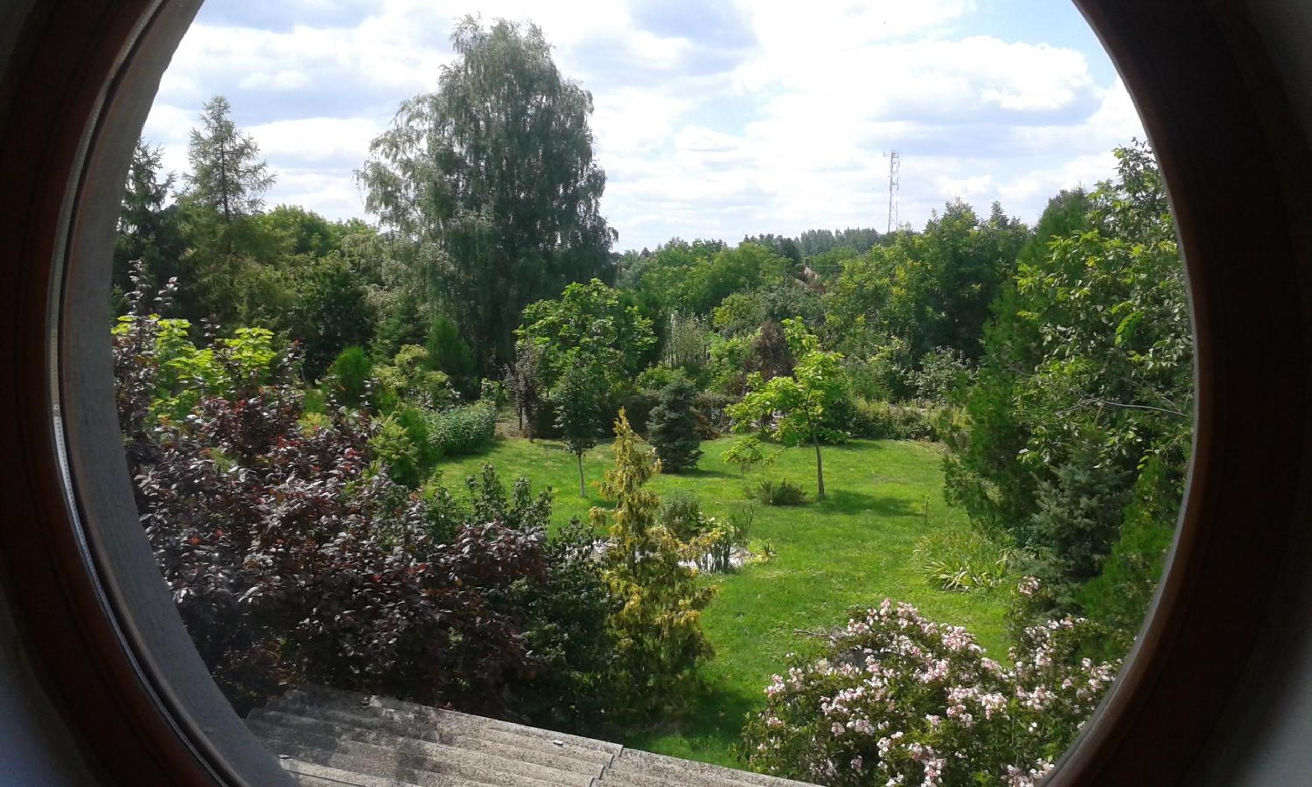 Photo 47