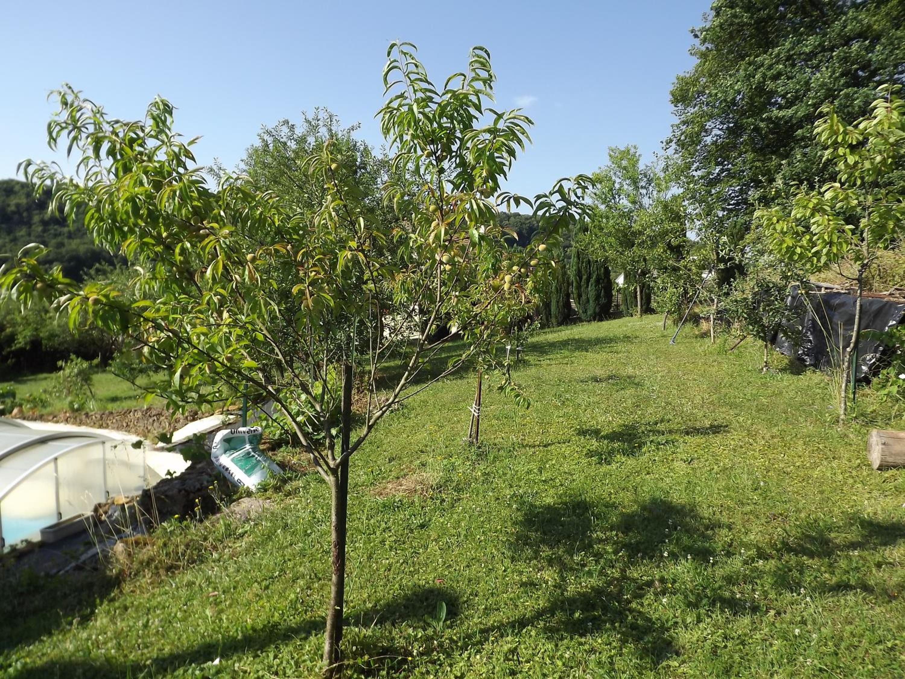 Chez Gerard