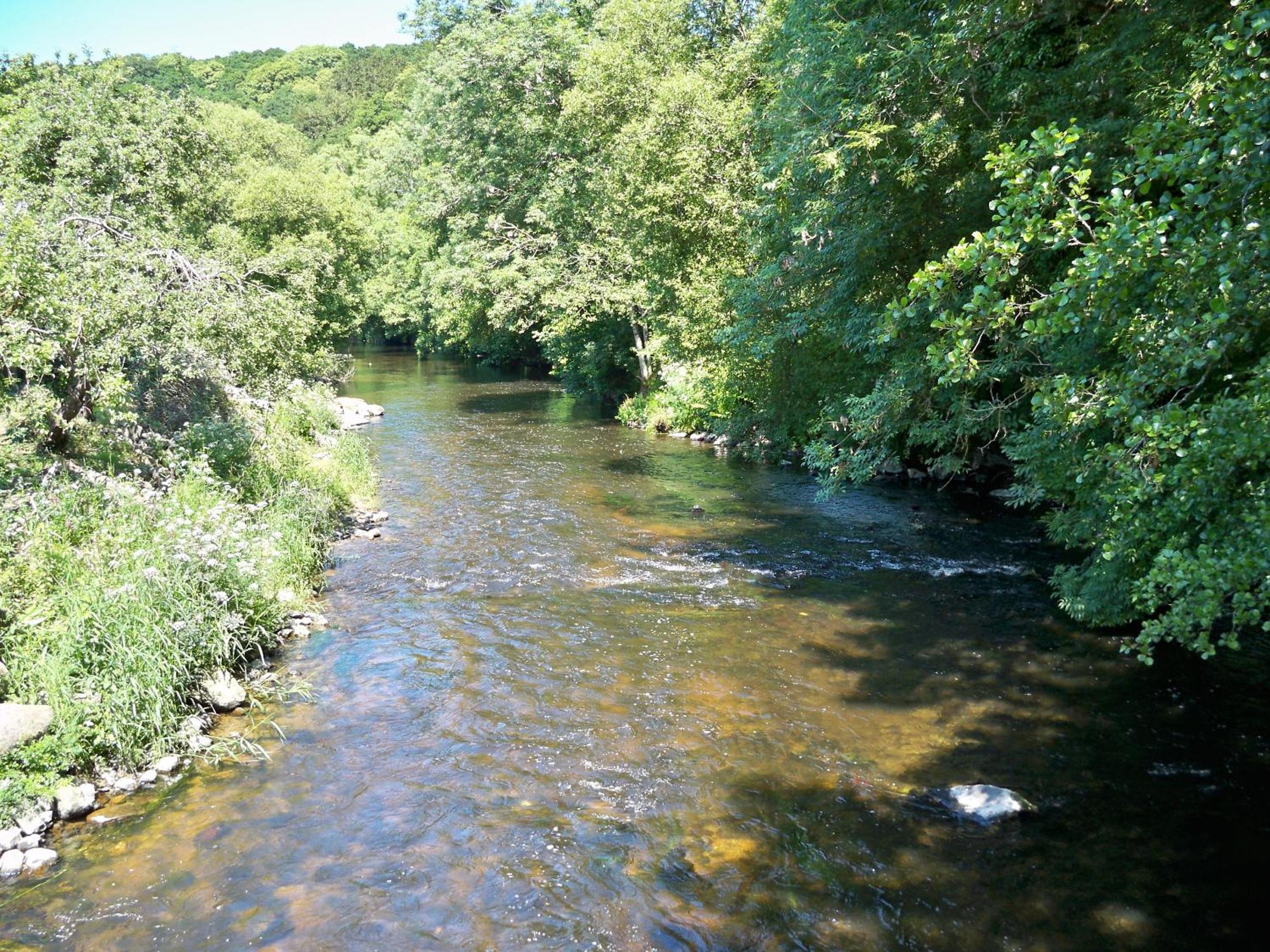 Photo 8