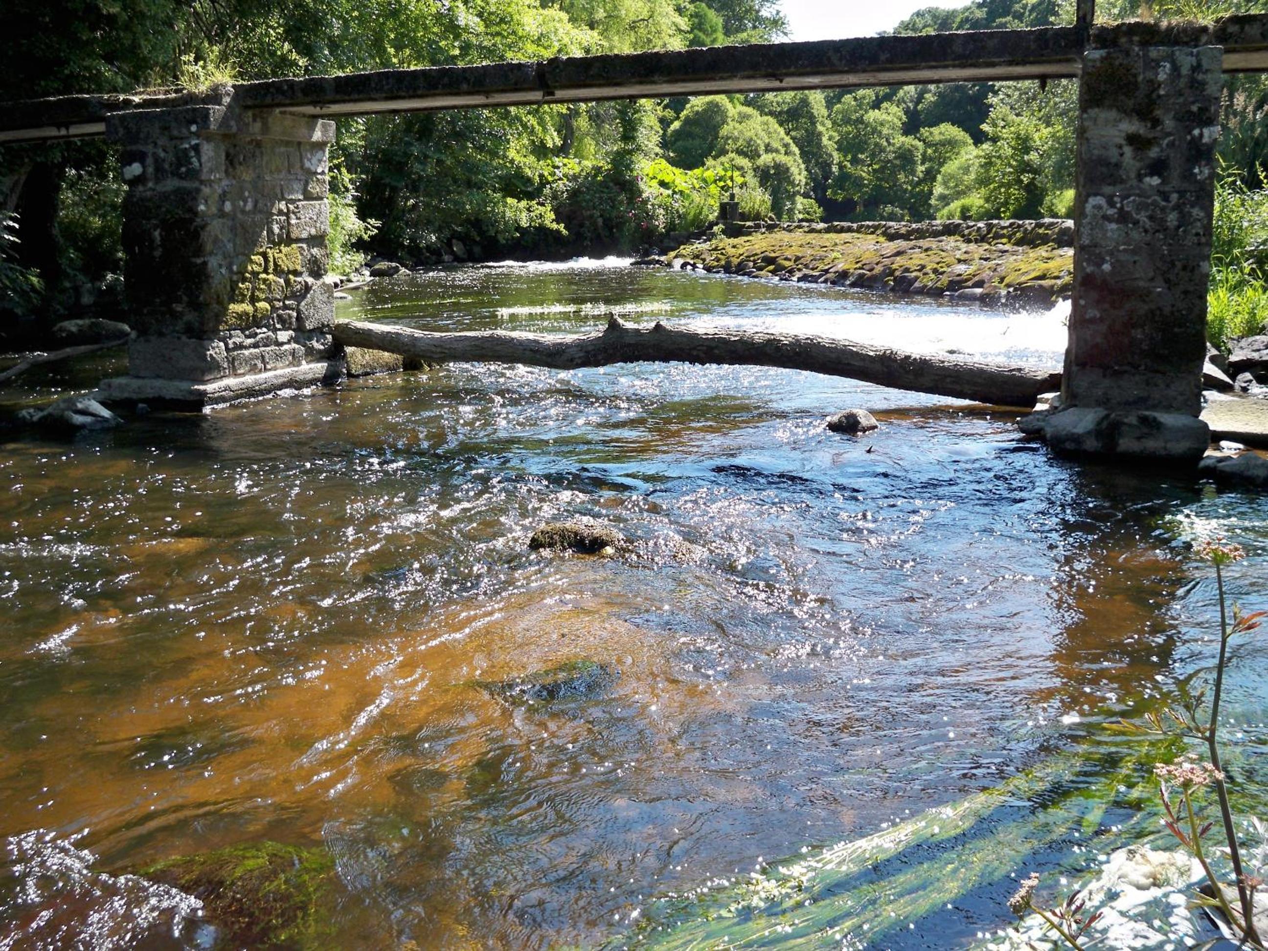 Photo 10