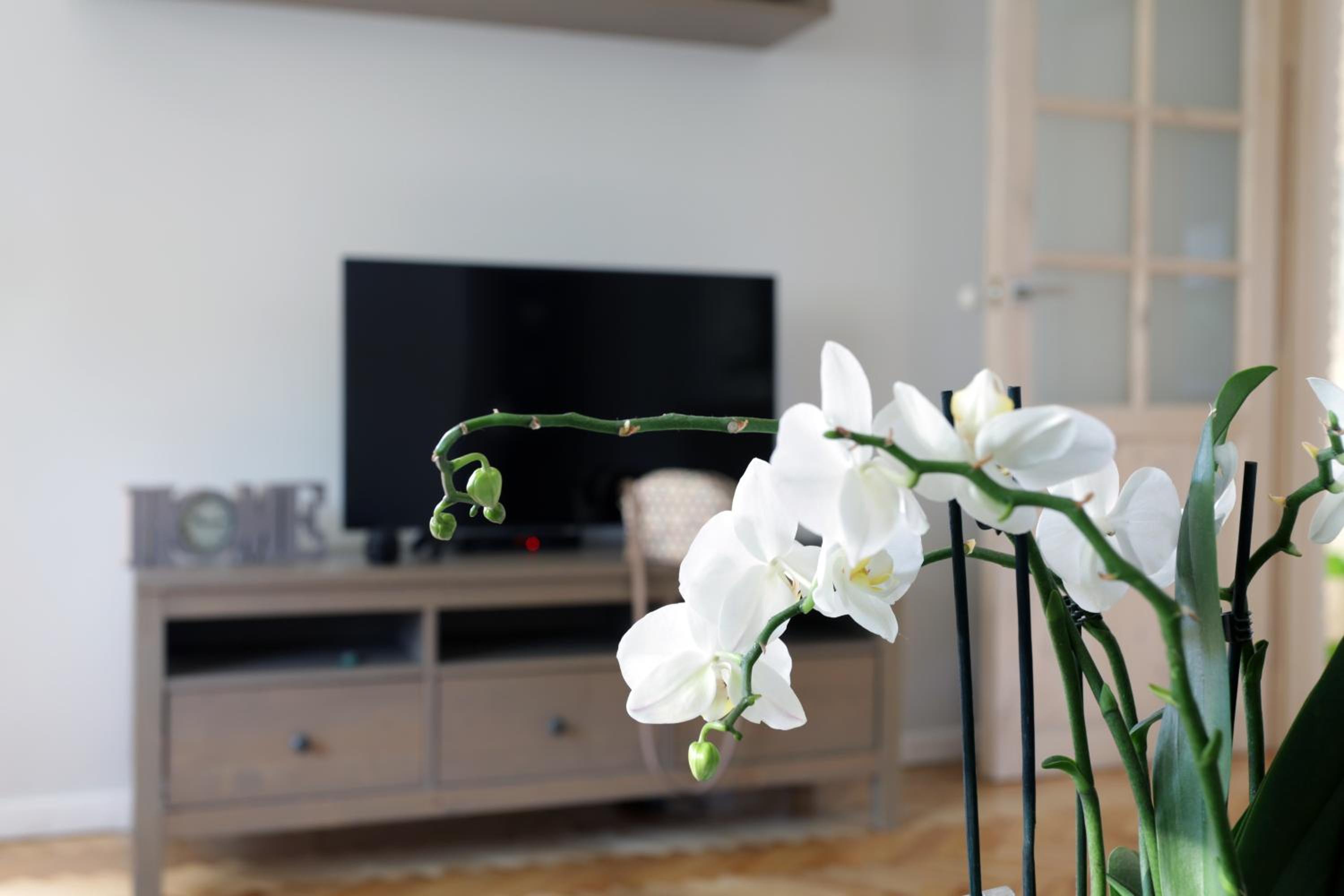 Apartament Turkus view 3