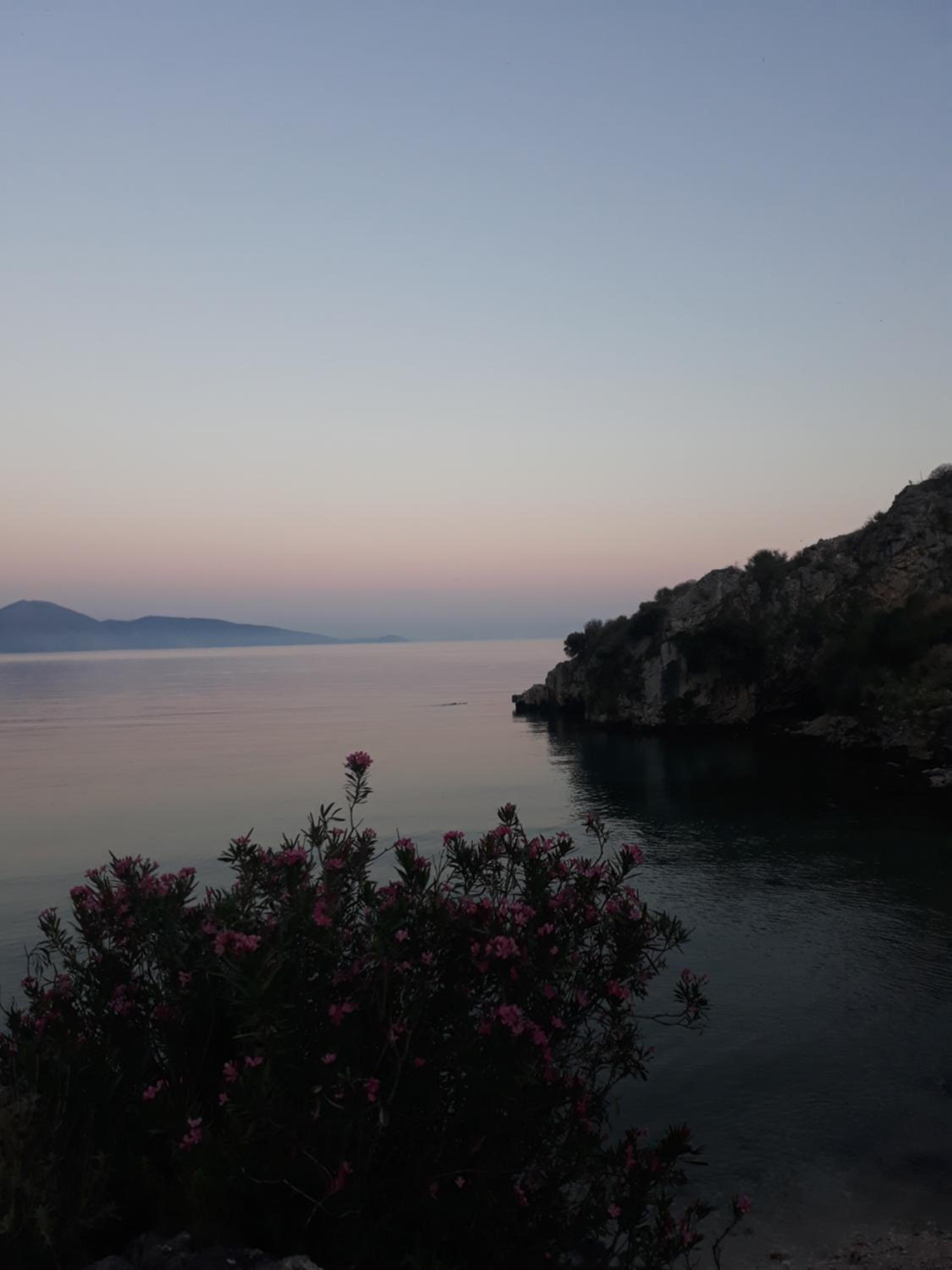 Blue View