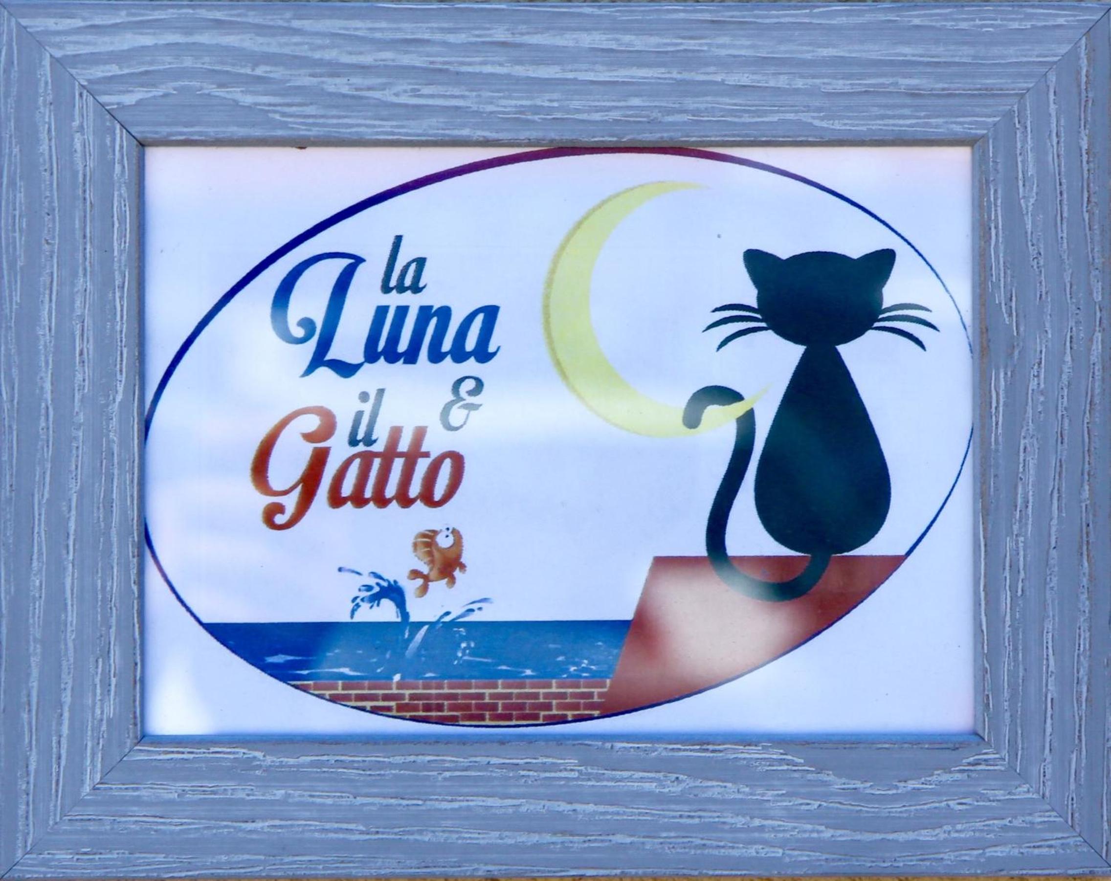 La Luna e il Gatto view 3