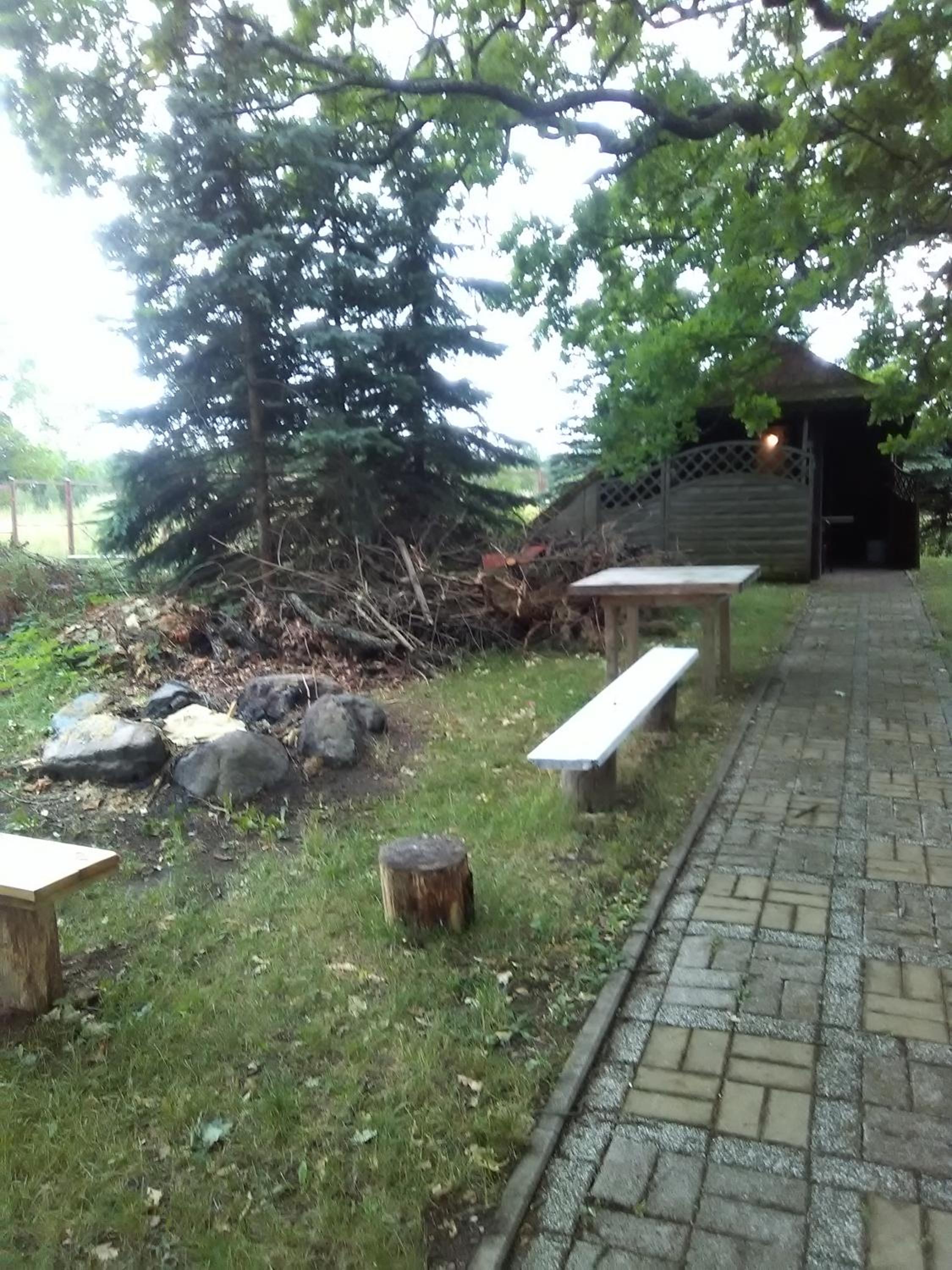 Photo 8