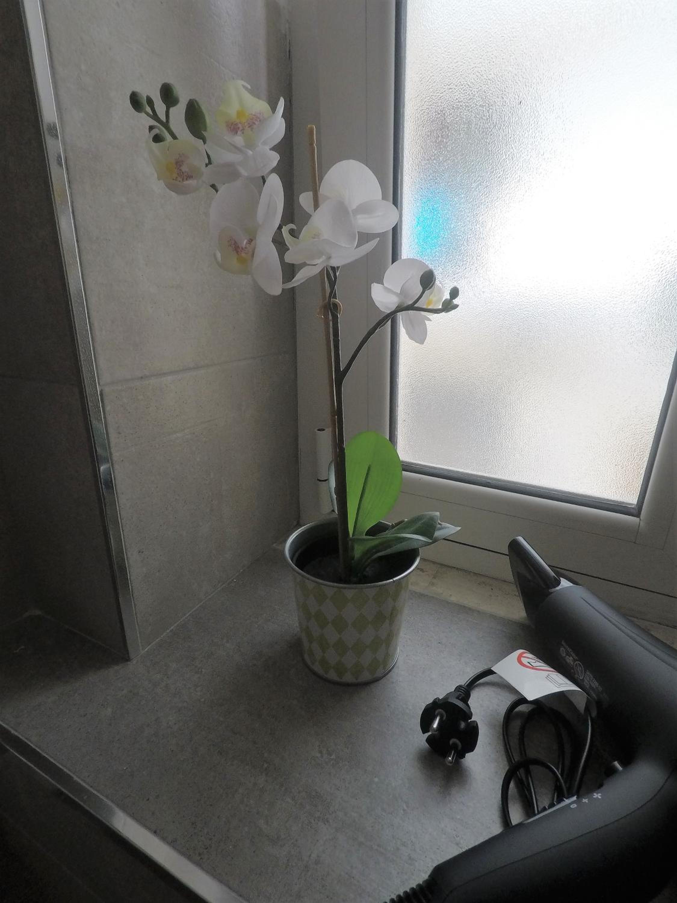 Photo 49