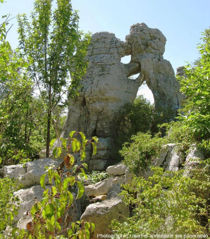 La Farigoule - Property Image 34