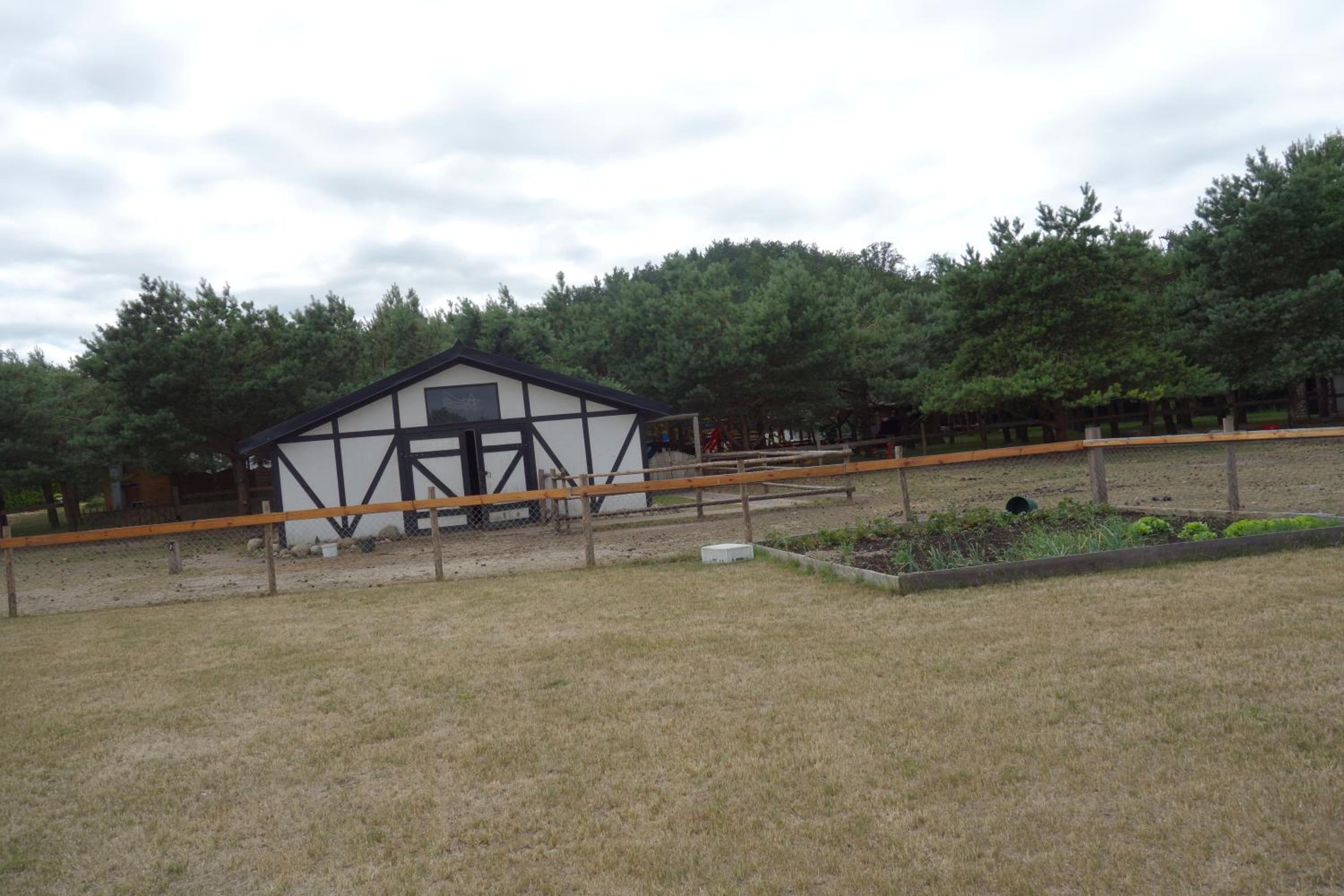 Photo 22