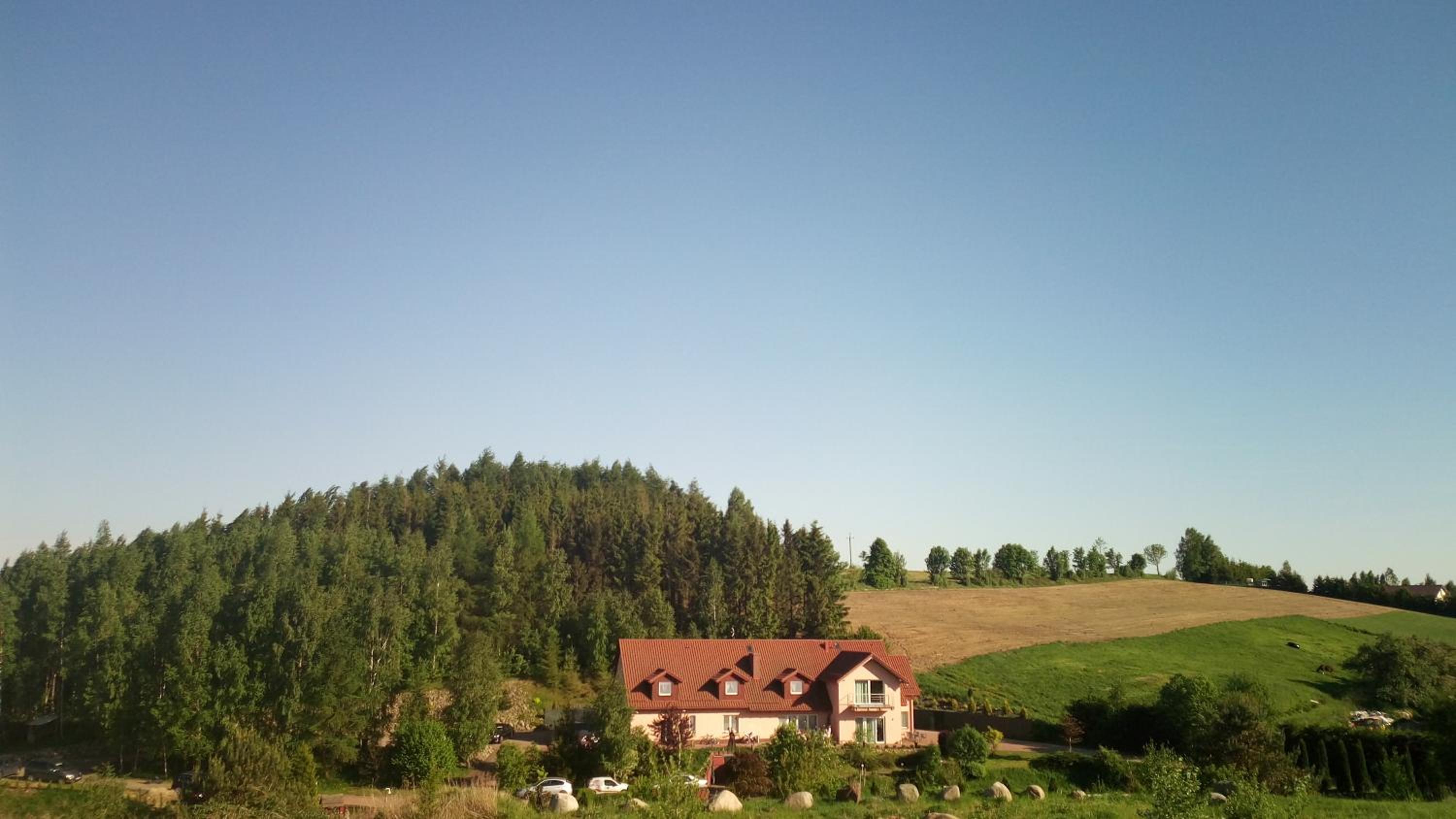 Photo 51