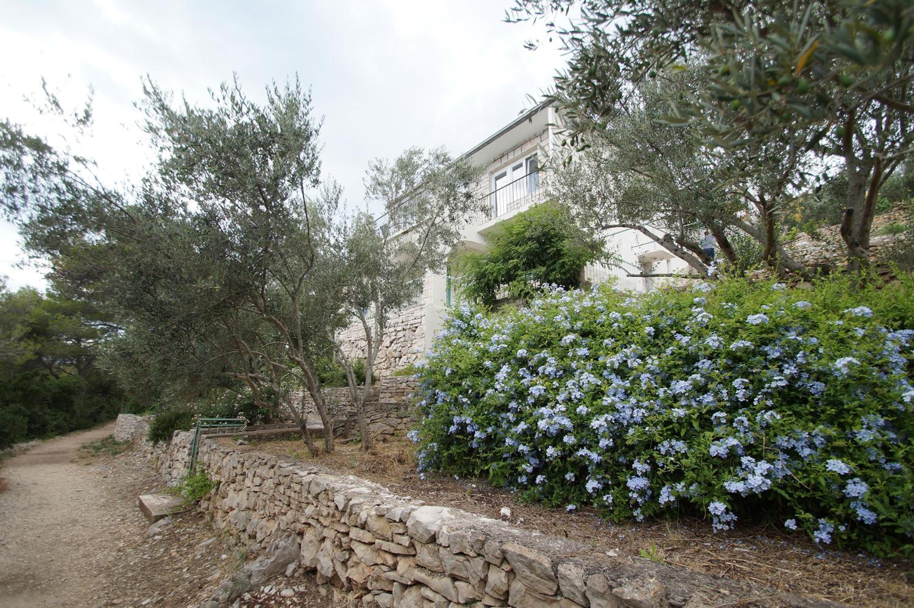 Photo 47