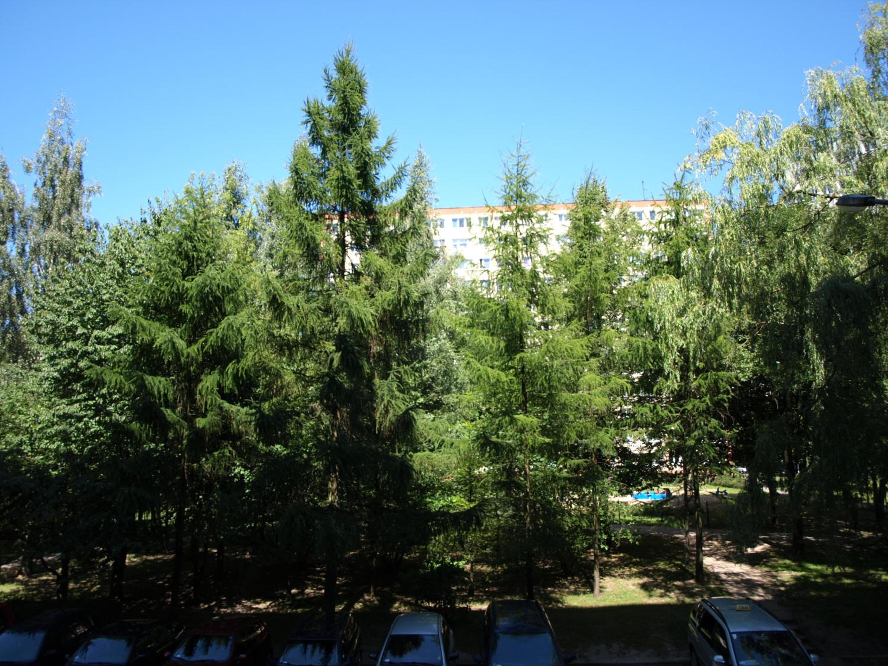 Photo 31