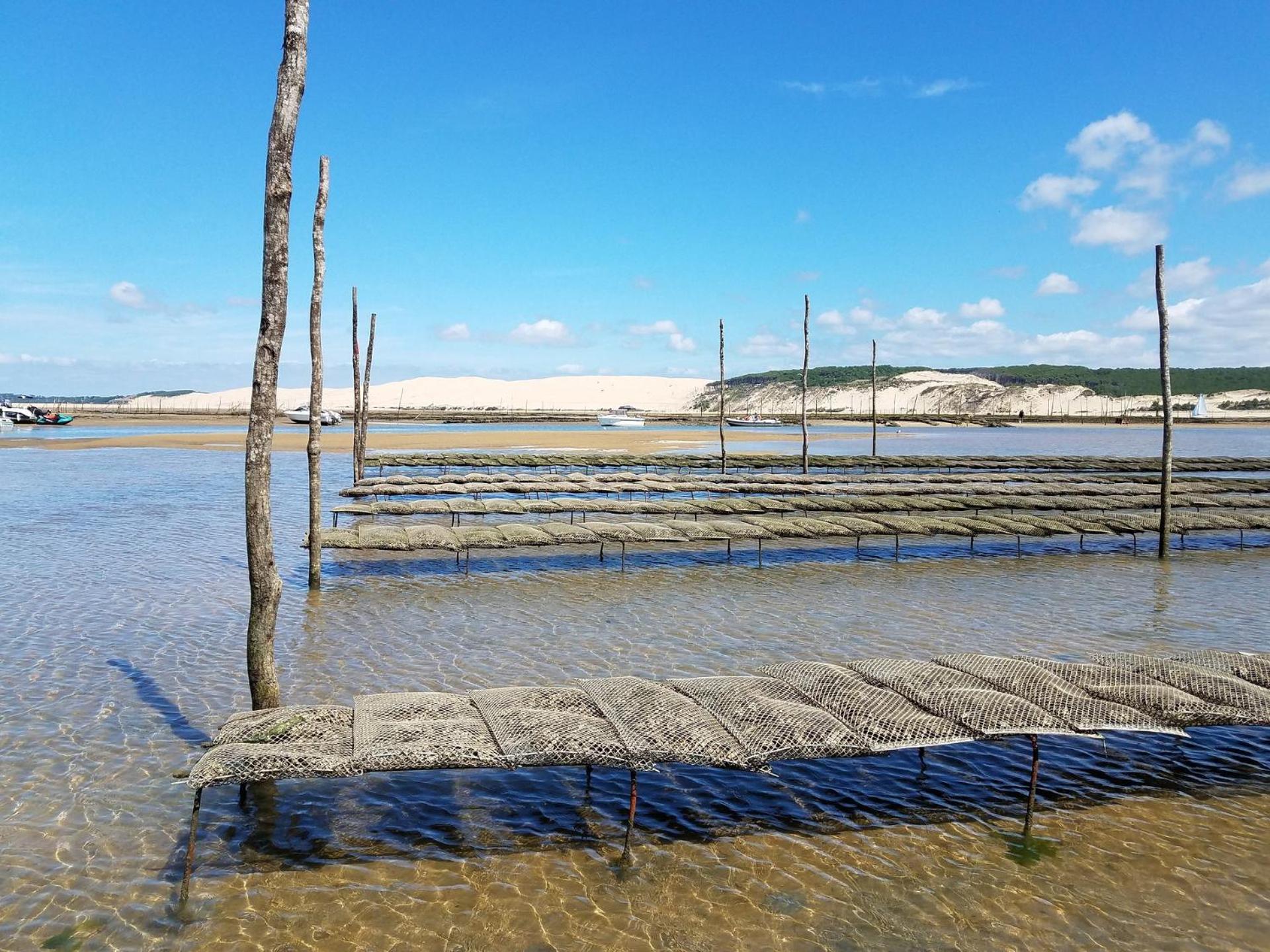 Camping Routes du Monde ATC La Hume-Arcachon
