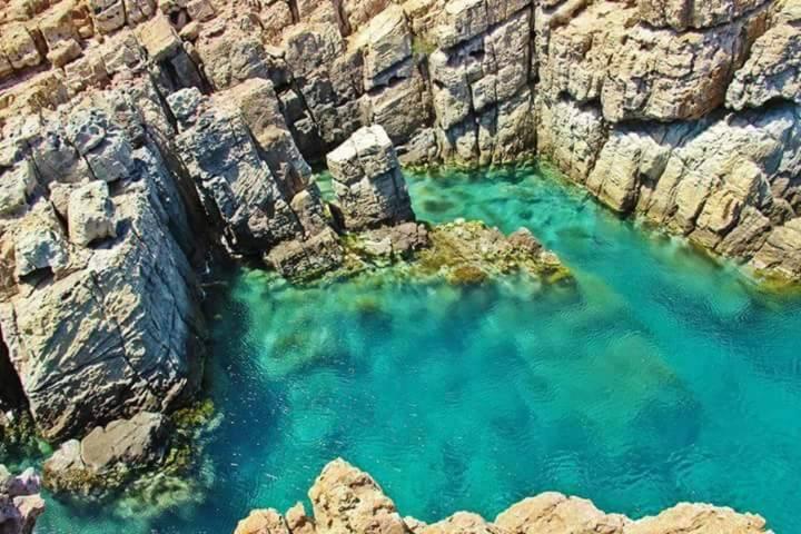 Dar Gitta & Wood El Haouaria