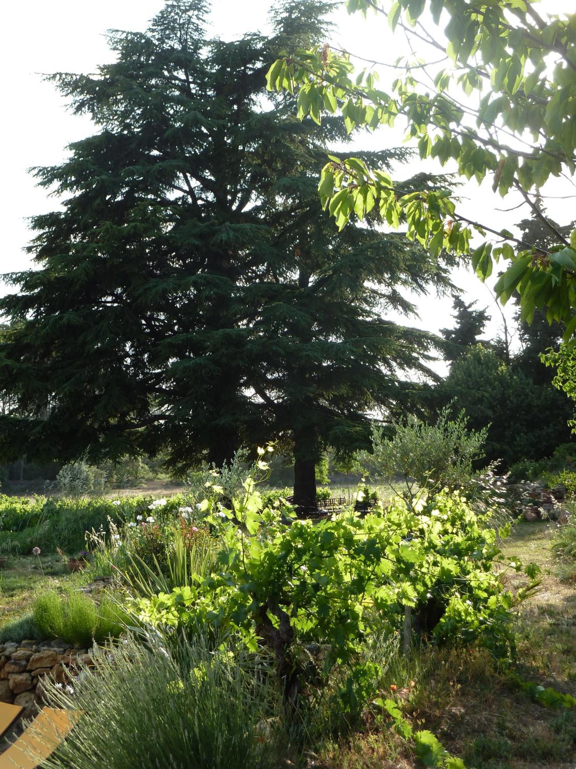 Photo 34