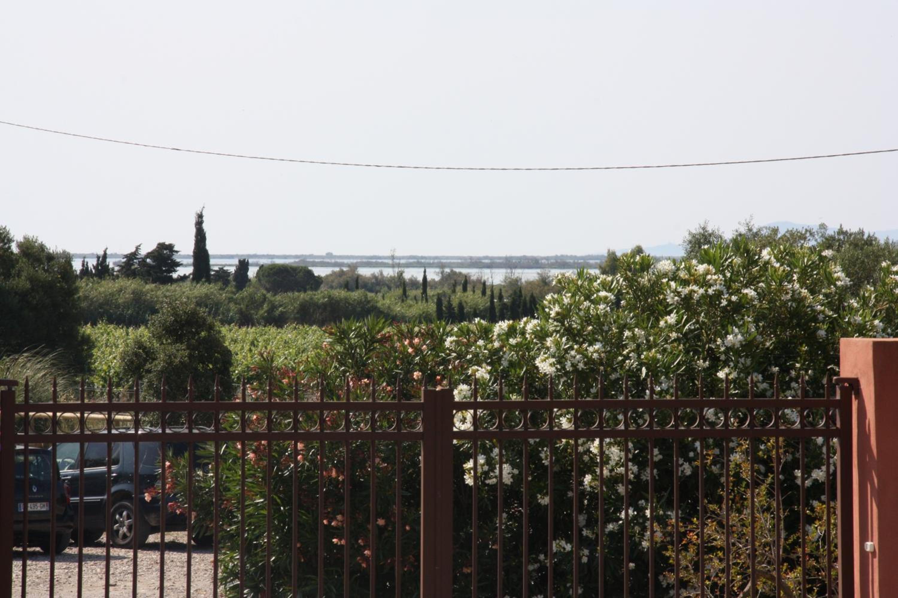 Domaine la Colomine view 4