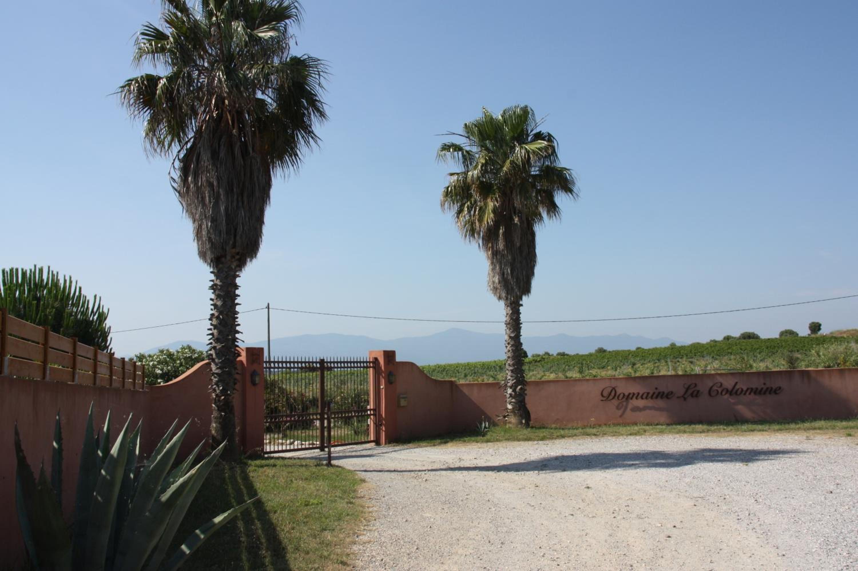 Domaine la Colomine view 2