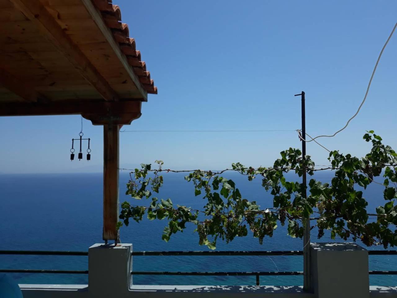 Blue View