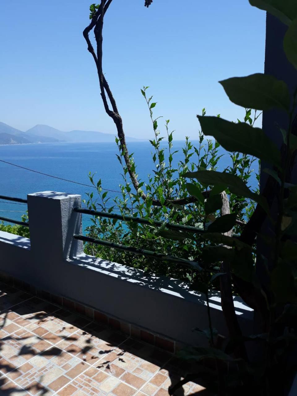 Blue View