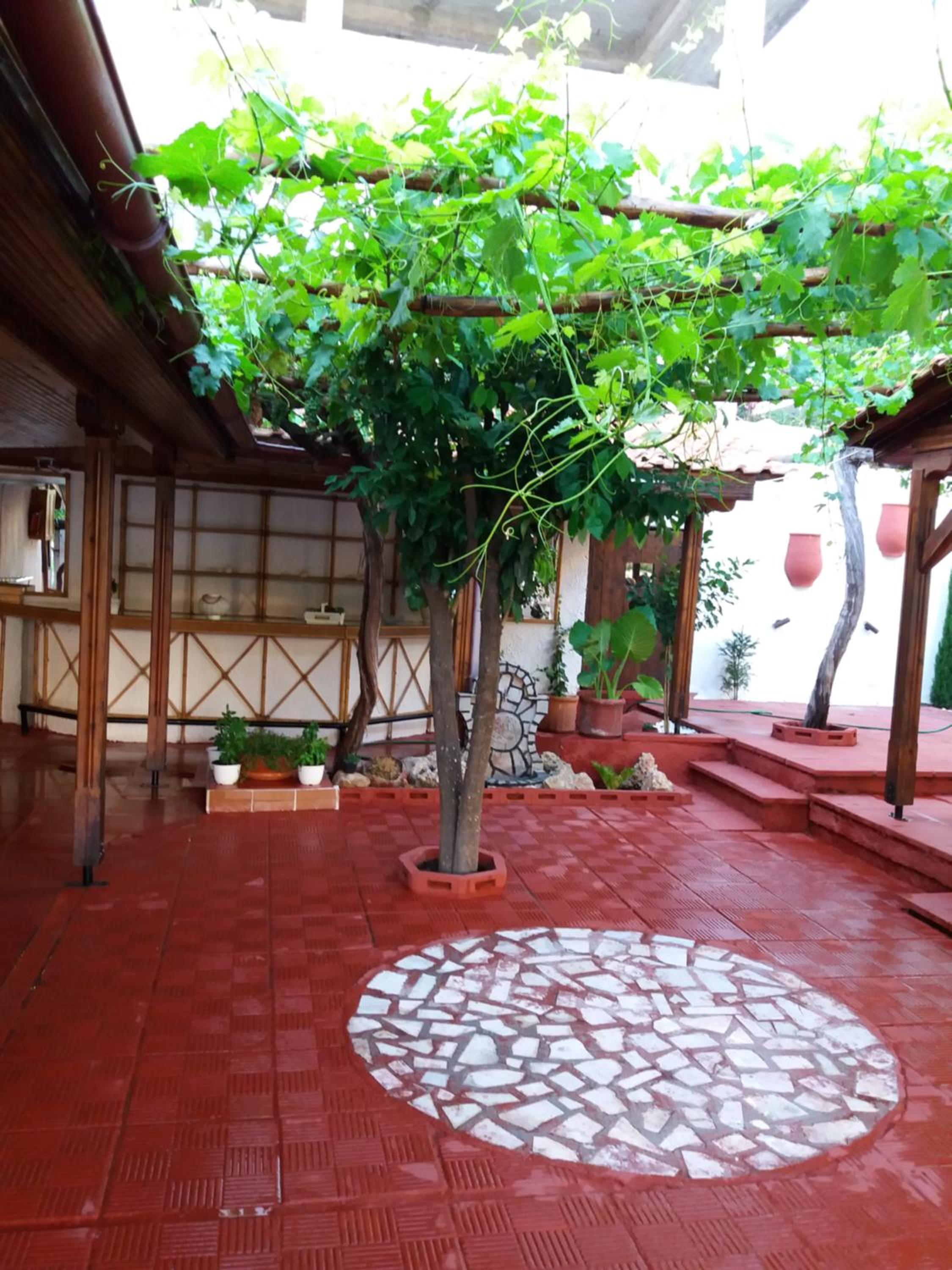 Photo 43