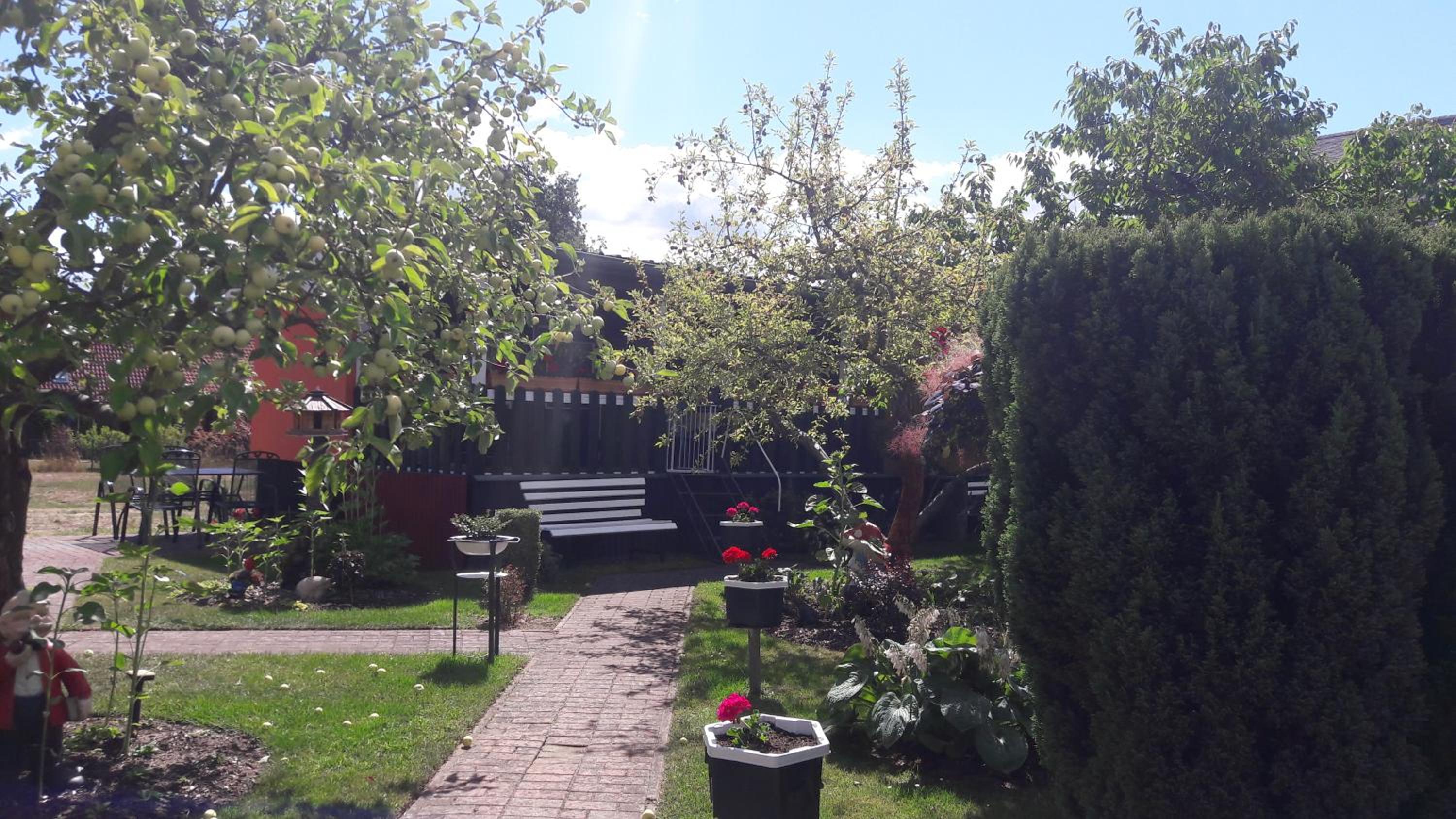 Photo 11