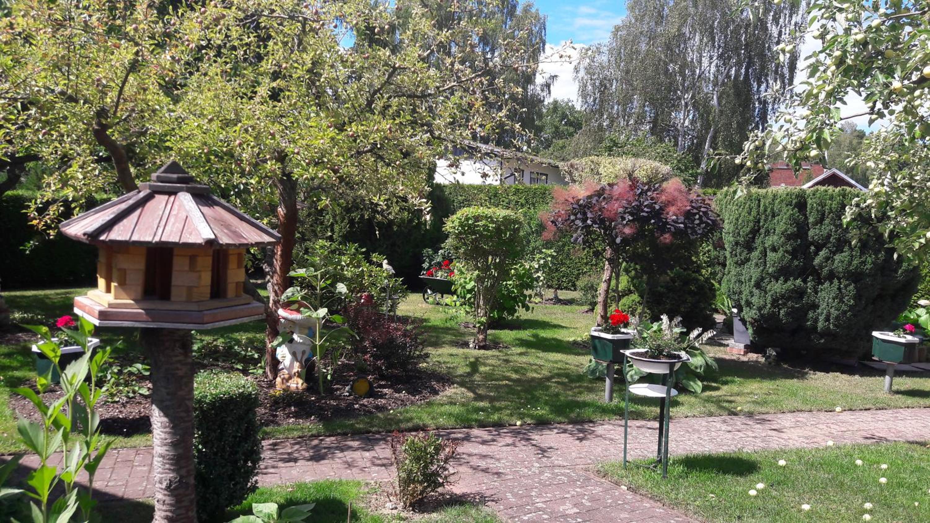 Photo 17