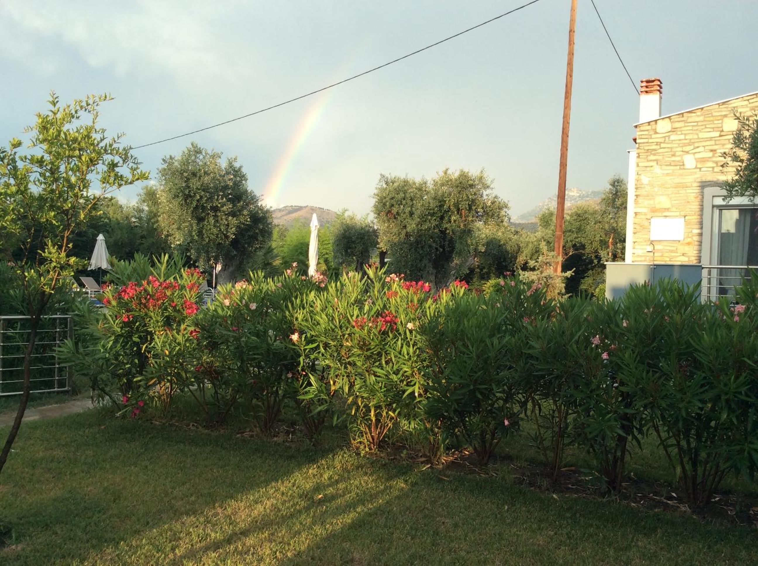 Photo 40
