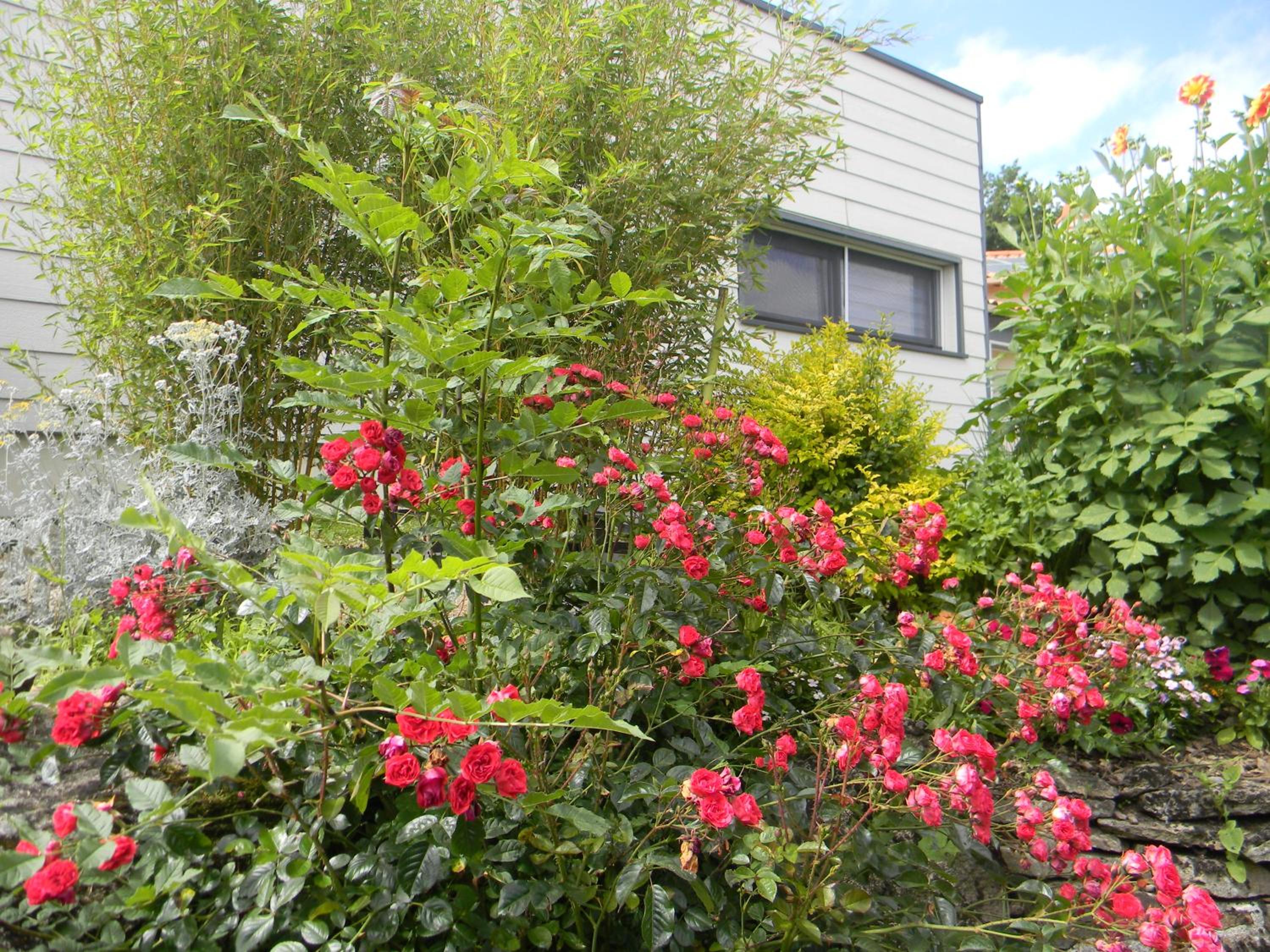 Maison Landreau view 3