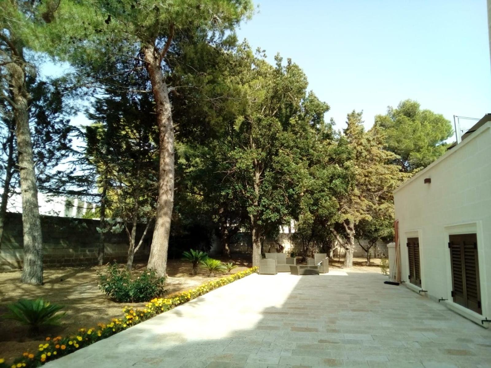 B. & B. Lu Turnitu view 3