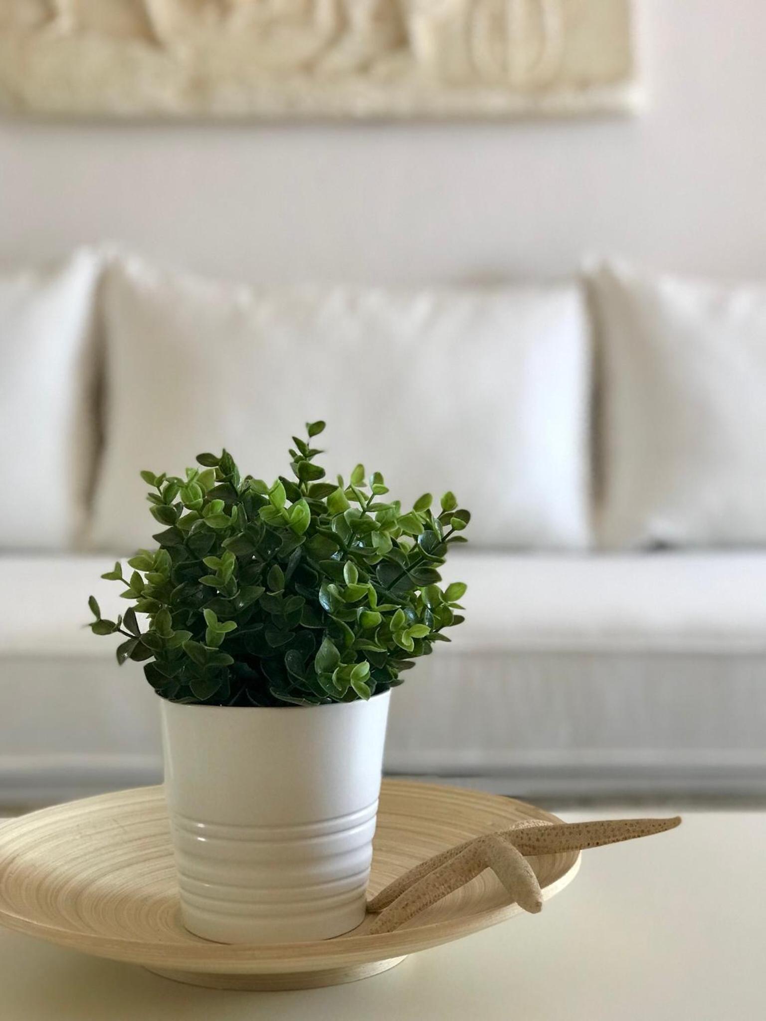 Sand & Sea Design Apartment
