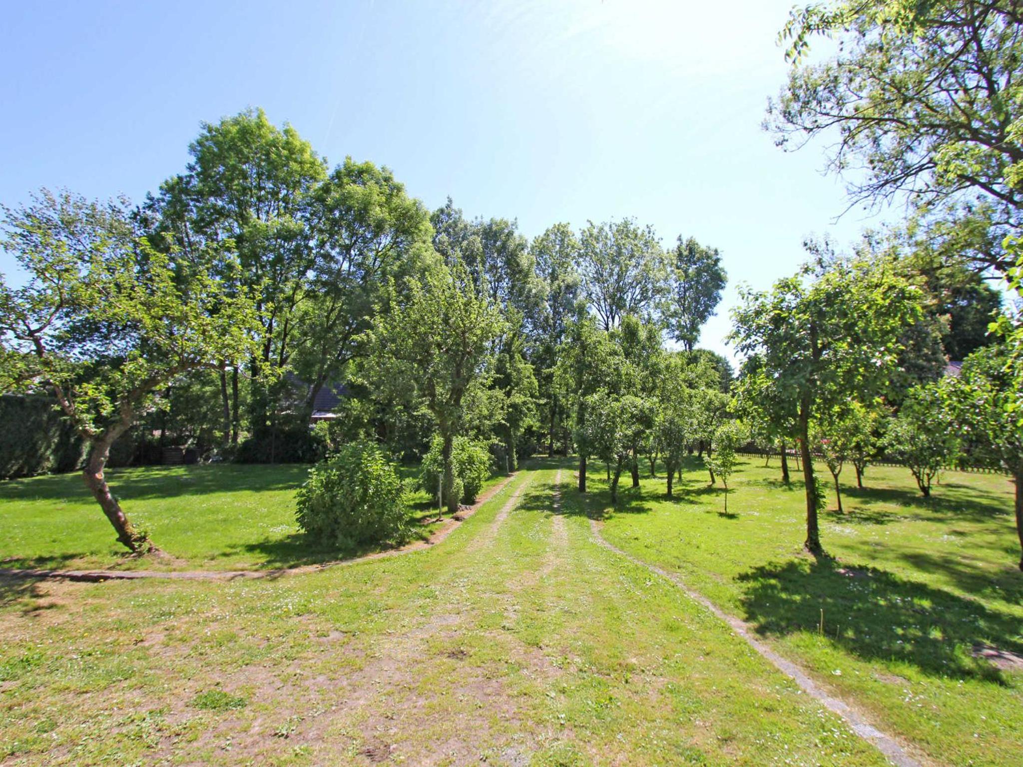 Ferienhaus Bartelshagen FDZ 461