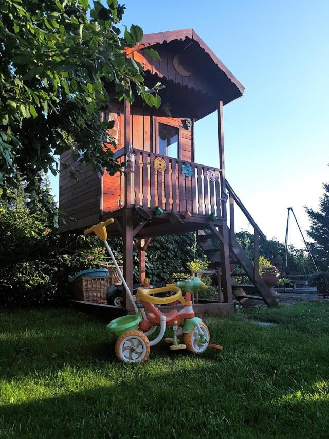 Photo 31