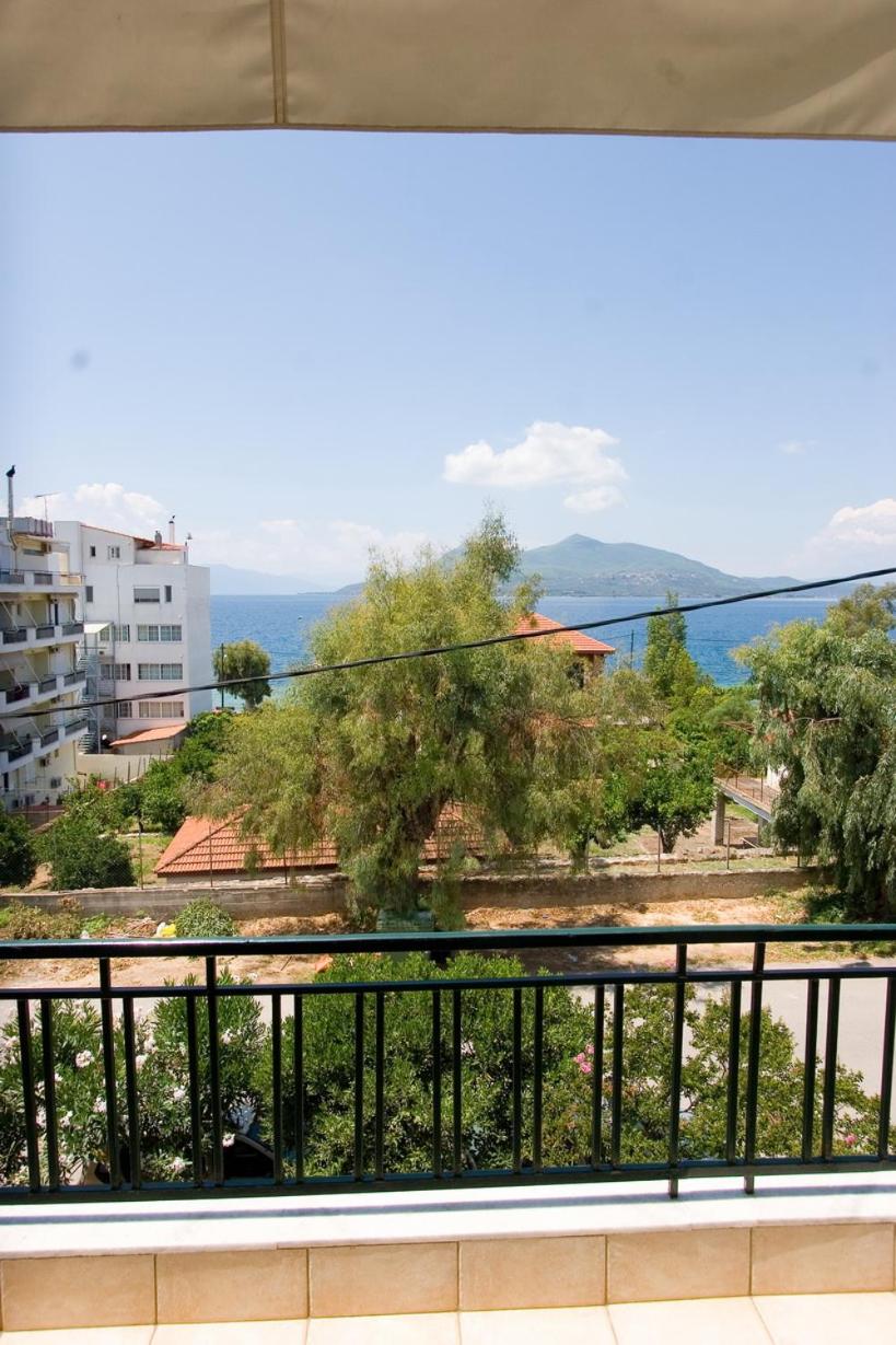 Soile Georgia