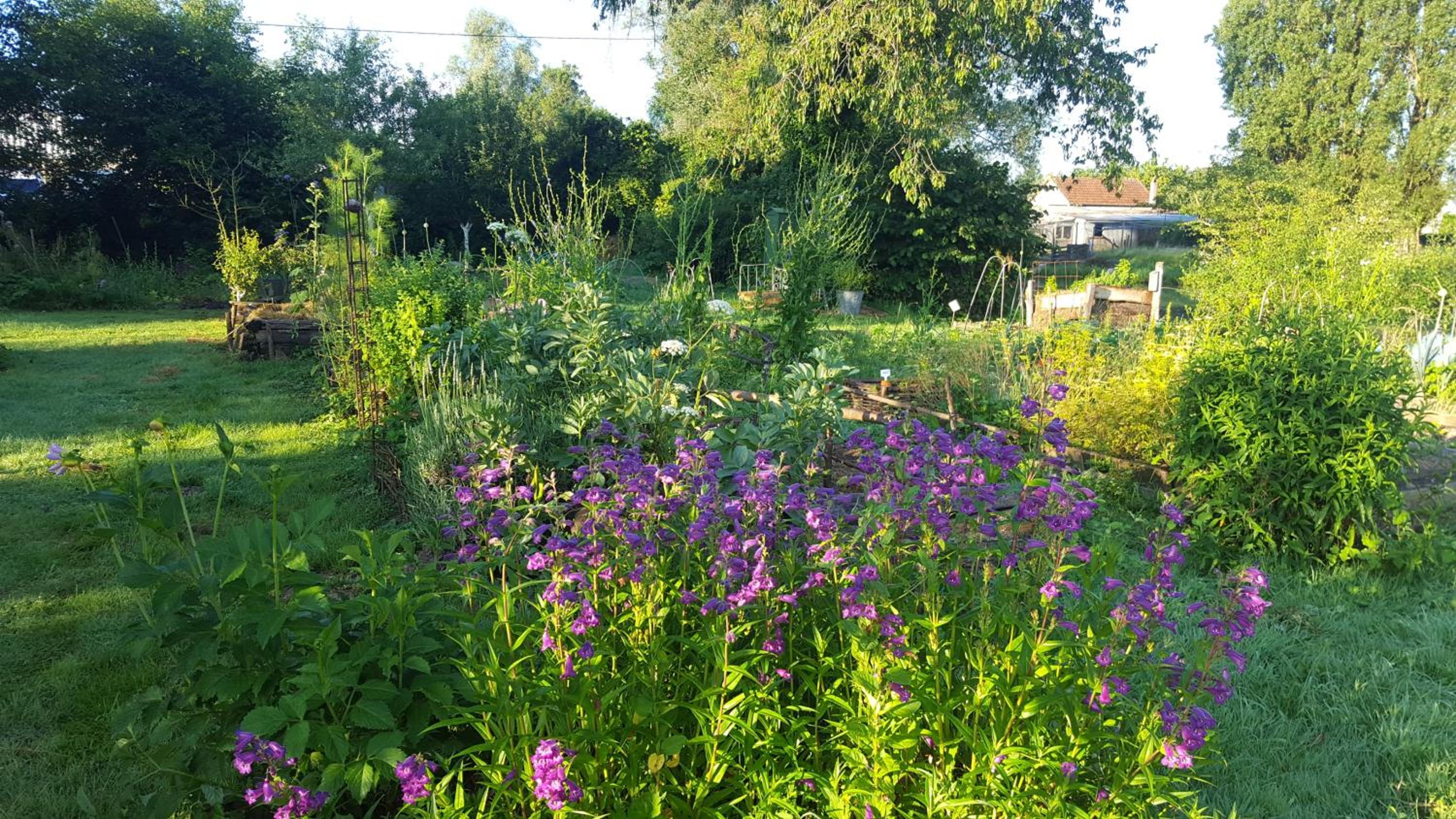 Chambre d'hôtes à la campagne Nevers