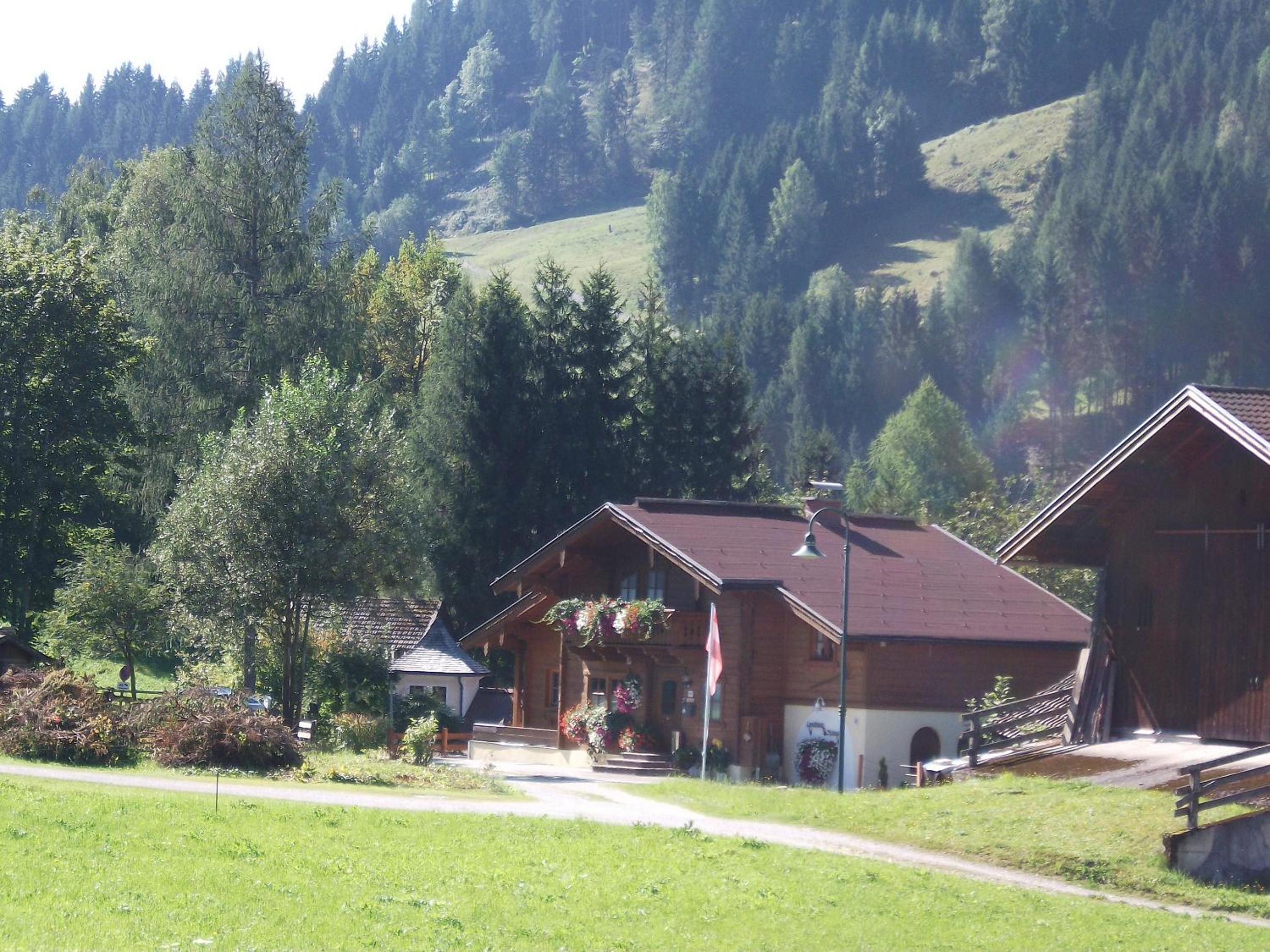 Photo 13
