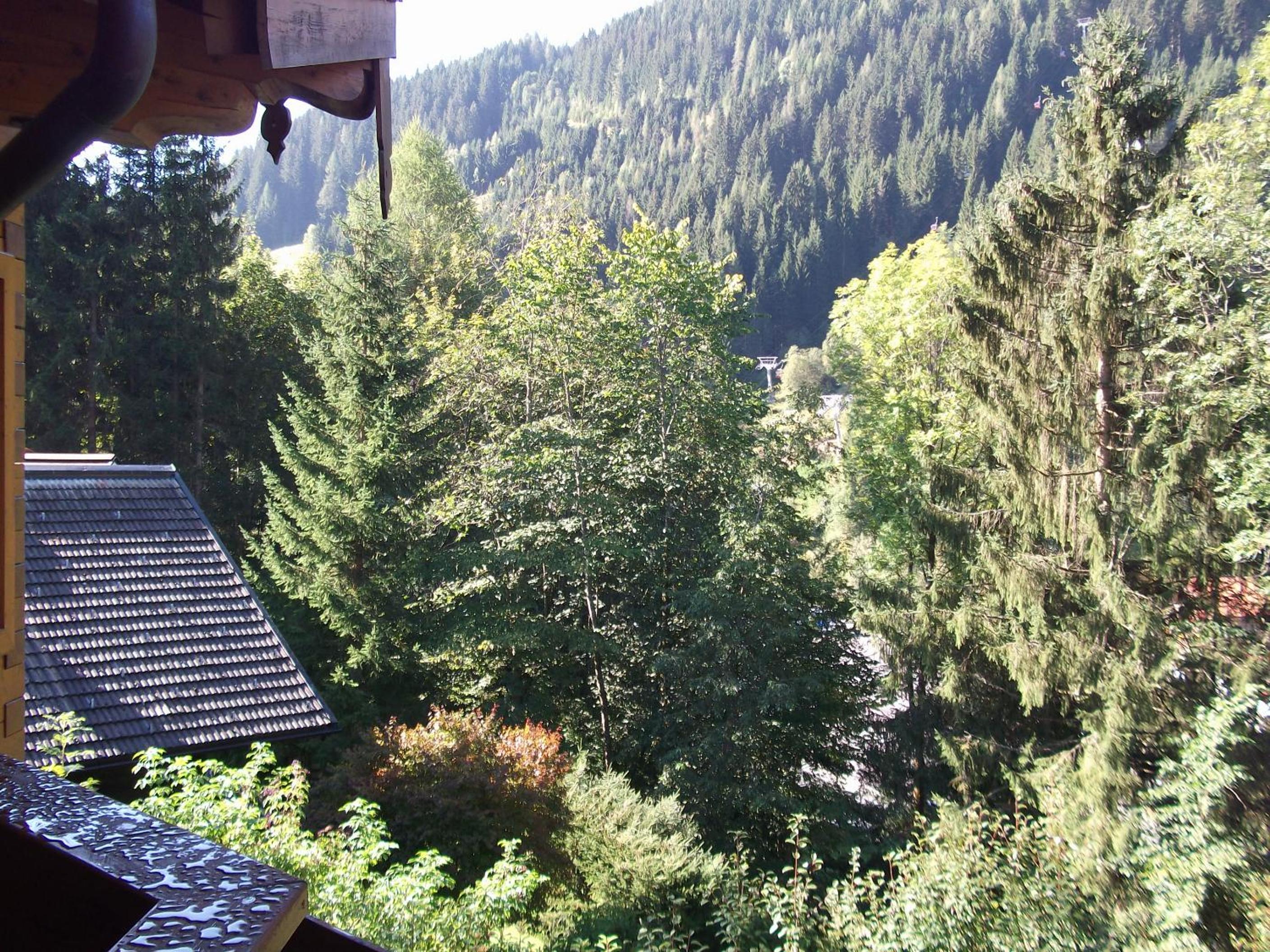 Photo 50